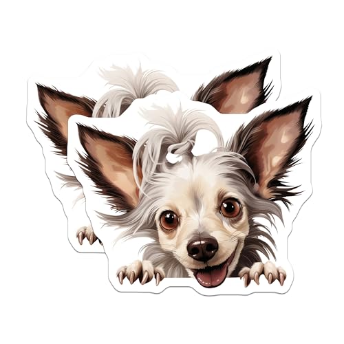 (2 Pack) Cute Dog Stickers - Adorable Puppy - Pet Lover Decal - 5" On Longest Side - Sticks to Smooth Flat Surfaces - Made in USA - BMCS9930