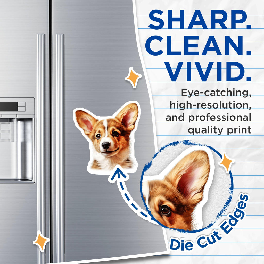 (2 Pack) Pembroke Welsh Corgi Puppy Magnets - Adorable Dog Refrigerator Decor - Pet Lover Home Accessory - Dog Mom Dad - 5 Inches On Longest Side - Thick Durable Magnet - Made in USA - MAG24505