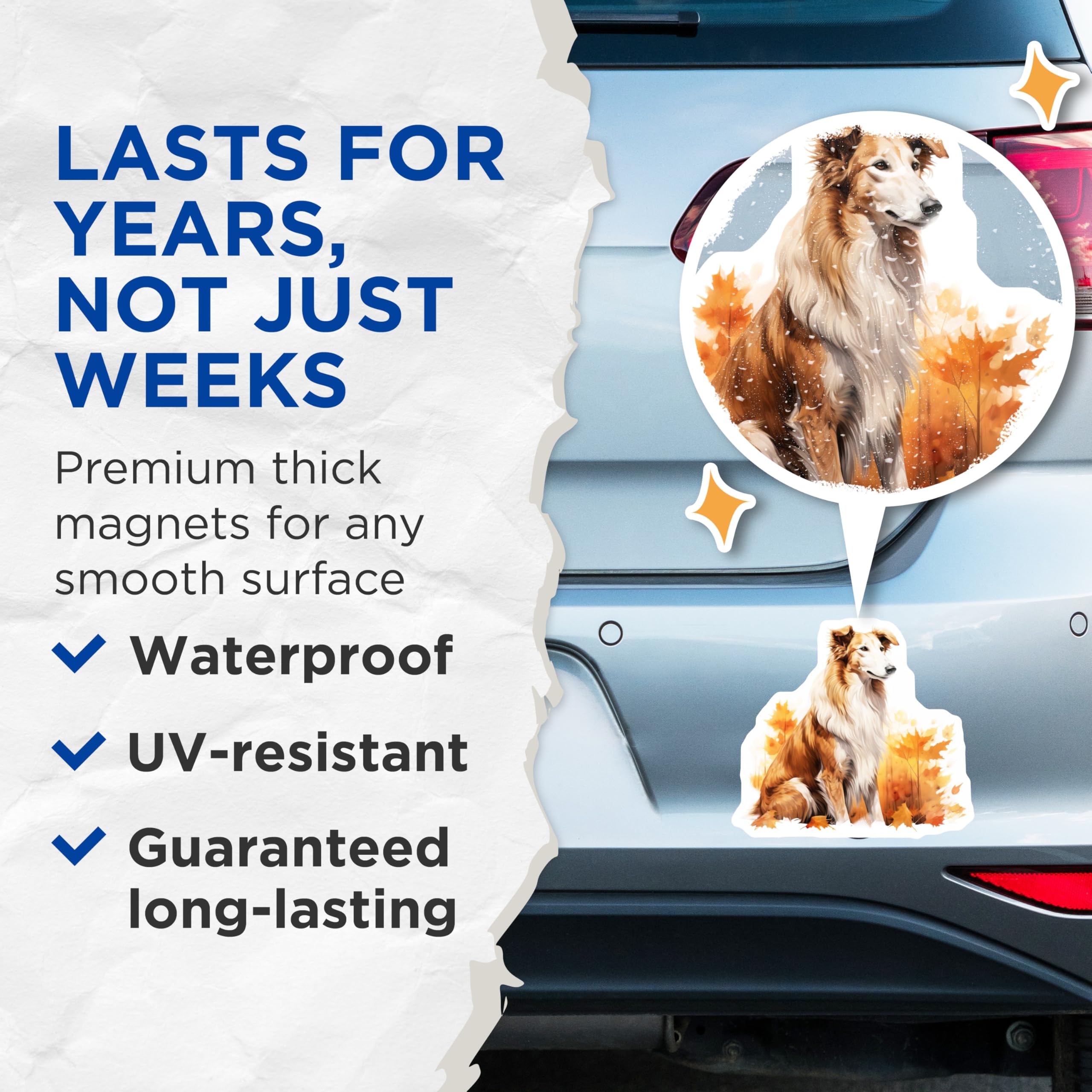 (2 Pack) Rough Collie Magnets - Autumn Dog Art - Fall Season Decor - 5 Inches On Longest Side - Thick Durable Magnet - Made in USA - MAG25412