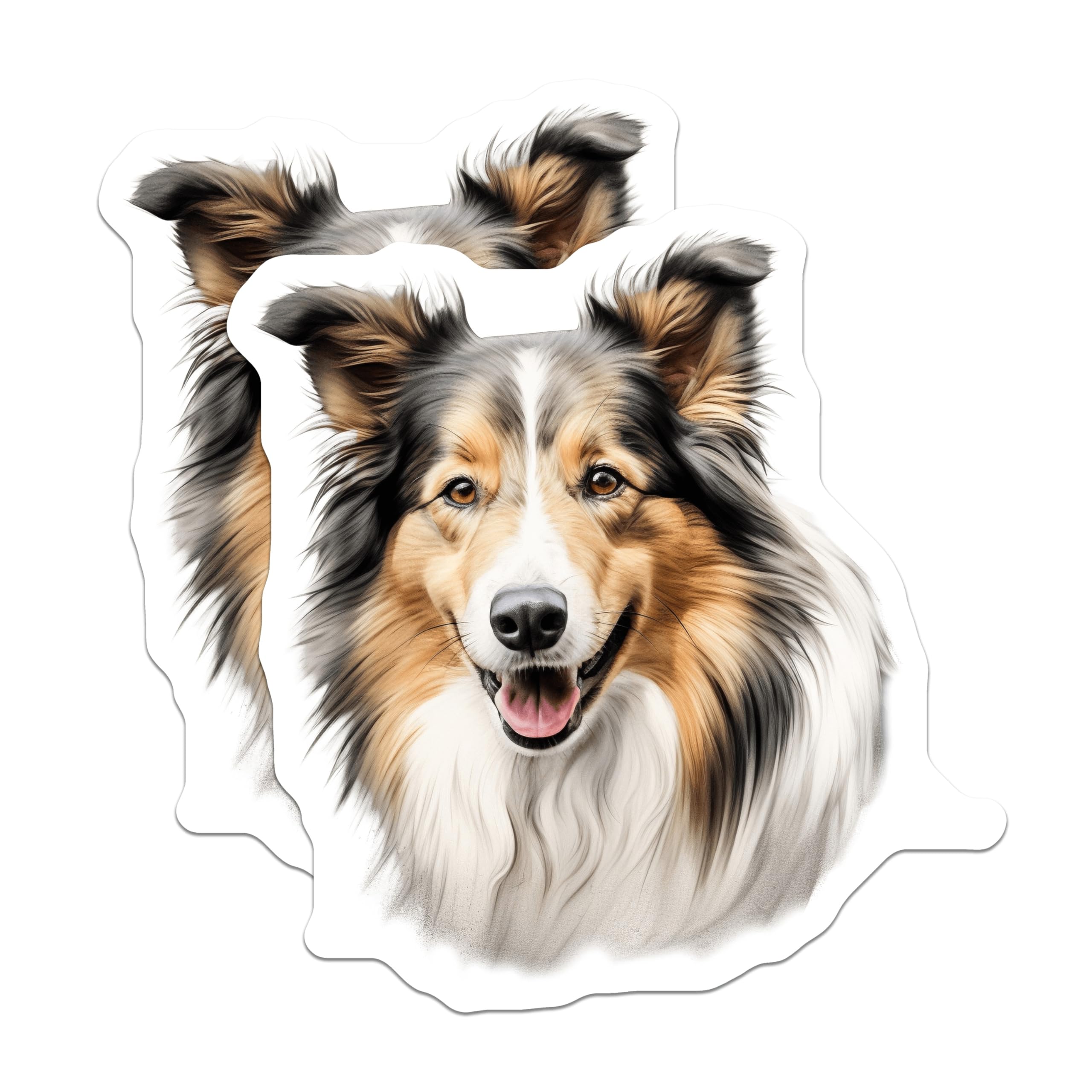 (2 Pack) Shetland Sheepdog Magnets - Rough Collie Art - Happy Dog Lover Decor - 5 Inches On Longest Side - Thick Durable Magnet - Made in USA - MAG28640