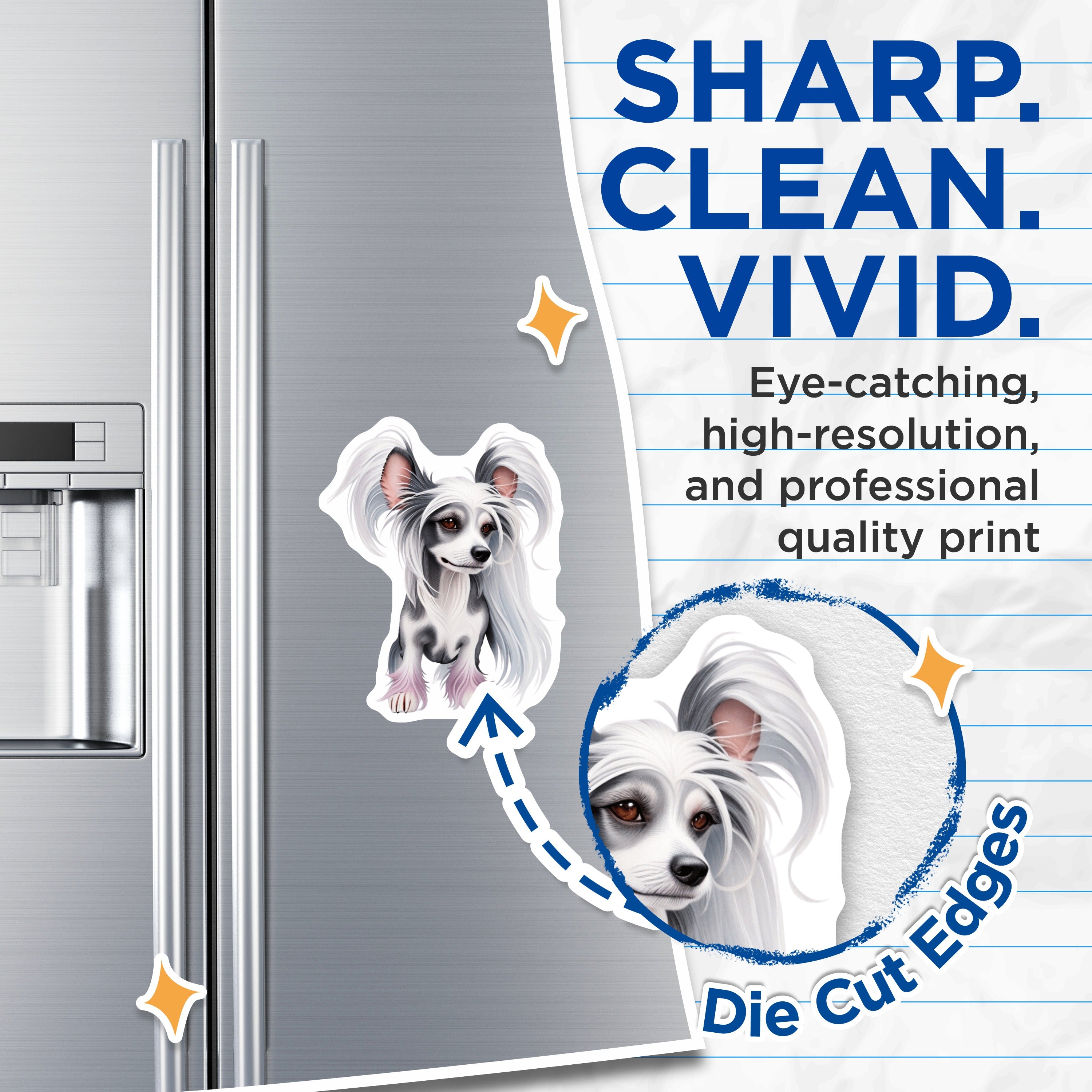 (2 Pack) Chinese Crested Dog Magnets - Whimsical Pet Art - Elegant Dog Lover - Dog Mom Kitchen Decor - 5 Inches On Longest Side - Thick Durable Magnet - Made in USA - MAG38685