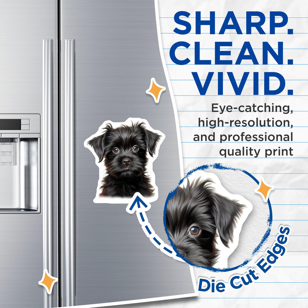 (2 Pack) Black Puppy Magnets - Adorable Fluffy Dog Art - Pet Lover Fridge Decor Animal Theme - 5 Inches On Longest Side - Thick Durable Magnet - Made in USA - MAG27985