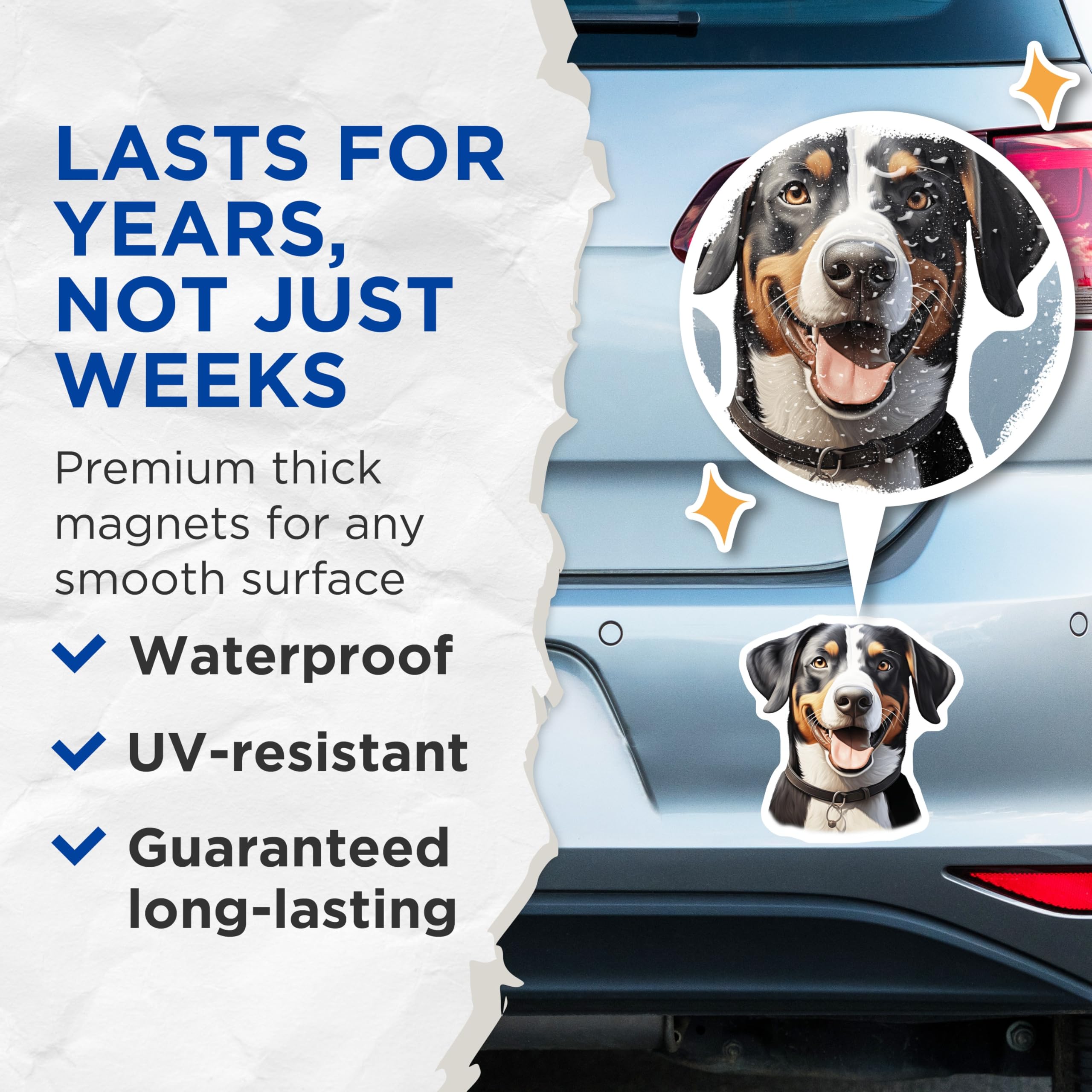 (2 Pack) Entlebucher Mountain Dog Magnets - Happy Canine Decor - Swiss Dog Breed Art - Pet Lover Refrigerator Accessory - 5 Inches On Longest Side - Thick Durable Magnet - Made in USA - MAG24997