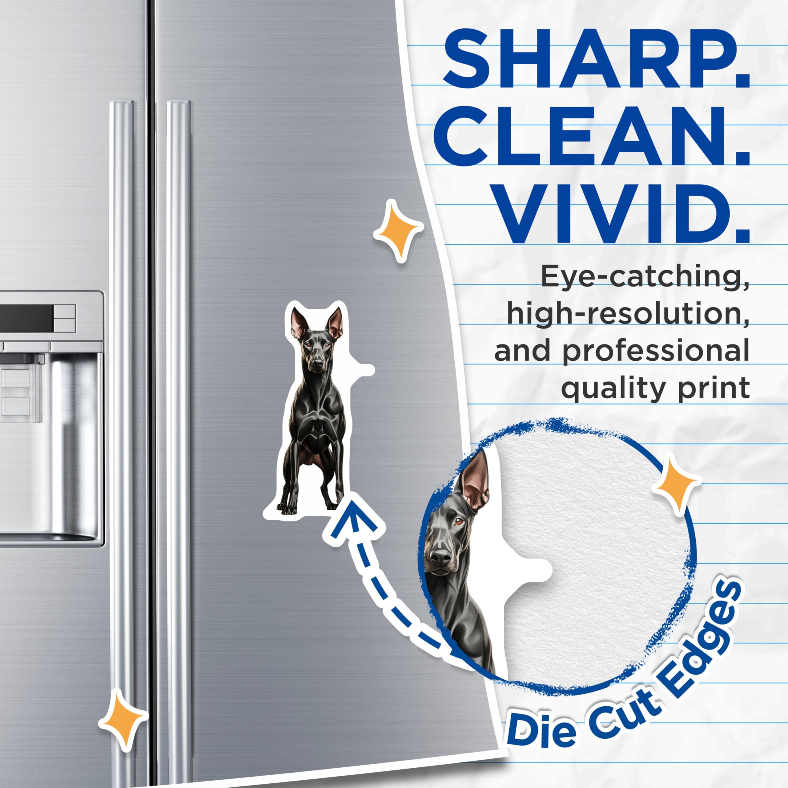 (2 Pack) Doberman Pinscher Magnets - Dog Lover Kitchen Decor - Pet Parent Refrigerator Art - 5 Inches On Longest Side - Thick Durable Magnet - Made in USA - MAG30624