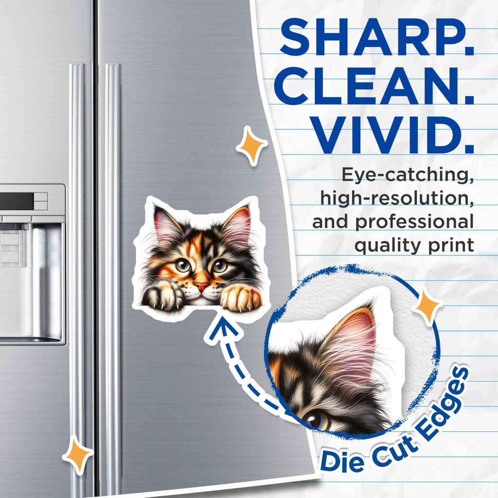 (2 Pack) Maine Coon Cat Magnets - Cute Kitty Decor - Fridge Magnets - 5" On Longest Side - Premium Magnet - for Cars, Refrigerators, Toolboxes, Lockers - Made in USA - MAG14529