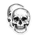 (2 Pack) Detailed Skull Magnets - Goth Decor - Biker Fridge Accents - Halloween Art Display - Anatomical Bone Illustration - 5" - Durable Magnet - Made in USA - MAG38174