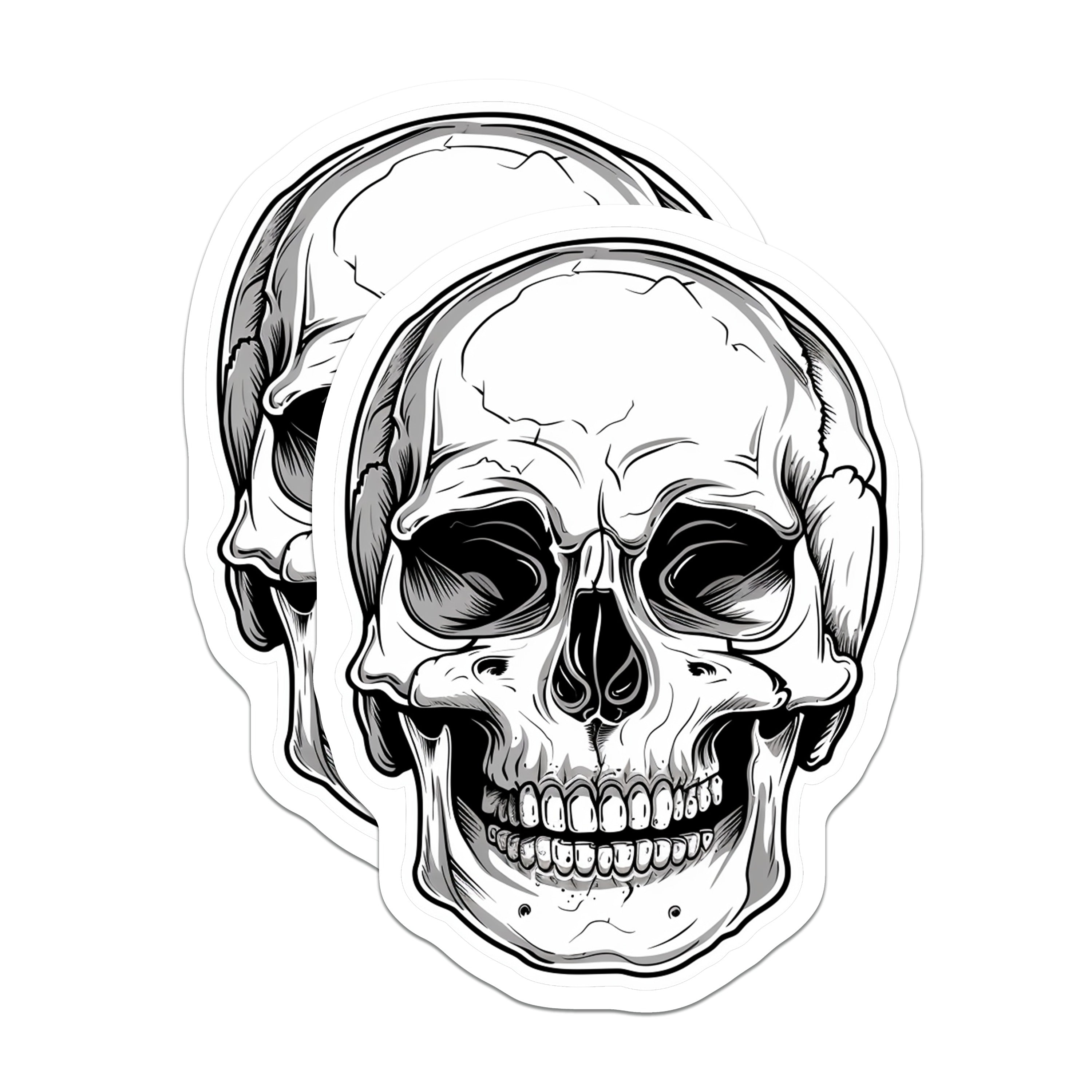 (2 Pack) Detailed Skull Magnets - Goth Decor - Biker Fridge Accents - Halloween Art Display - Anatomical Bone Illustration - 5" - Durable Magnet - Made in USA - MAG38174