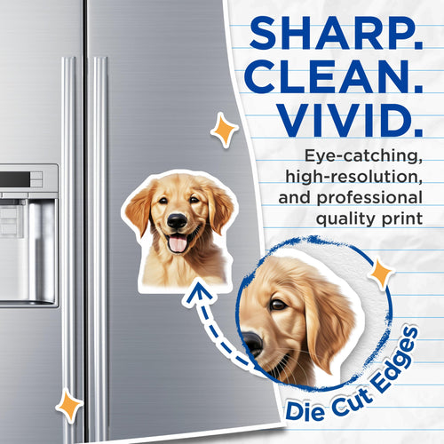 (2 Pack) Adorable Golden Retriever Puppy Magnets - Dog Lover Vehicle Decor - Pet Parent Fridge Locker Magnets - 5 Inches On Longest Side - Thick Durable Magnet - Made in USA - MAG29358