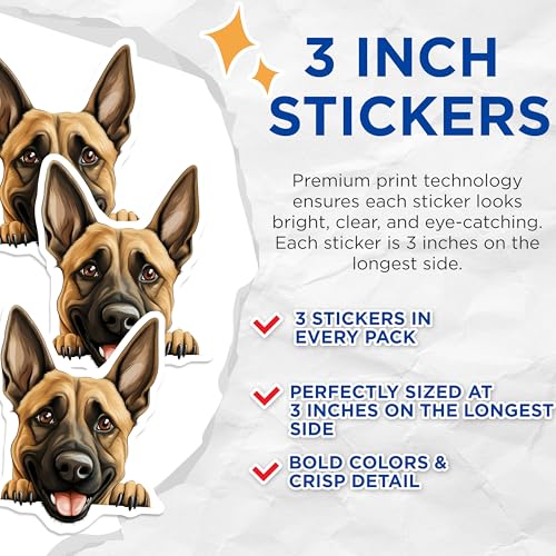 (3 Pack) Belgian Malinois Decals - Dog Breed Decals - Laptop Decal - 3 Inches On Longest Side - Easy Peel & Apply - Made in USA - 3MCS8623