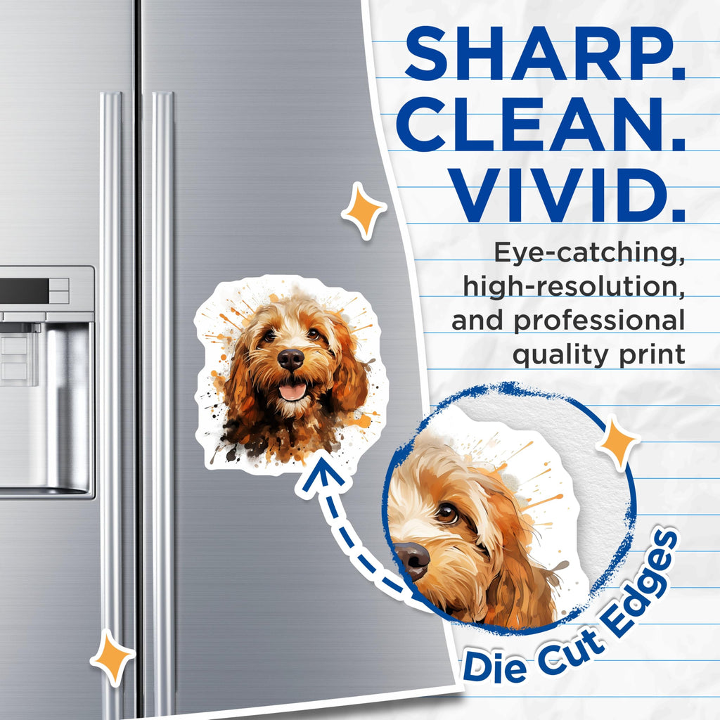 (2 Pack) Cockapoo Magnets - Watercolor Pet Art - Happy Puppy Refrigerator Magnet - Animal Lover Accessory - 5 Inches On Longest Side - Thick Durable Magnet - Made in USA - MAG24911