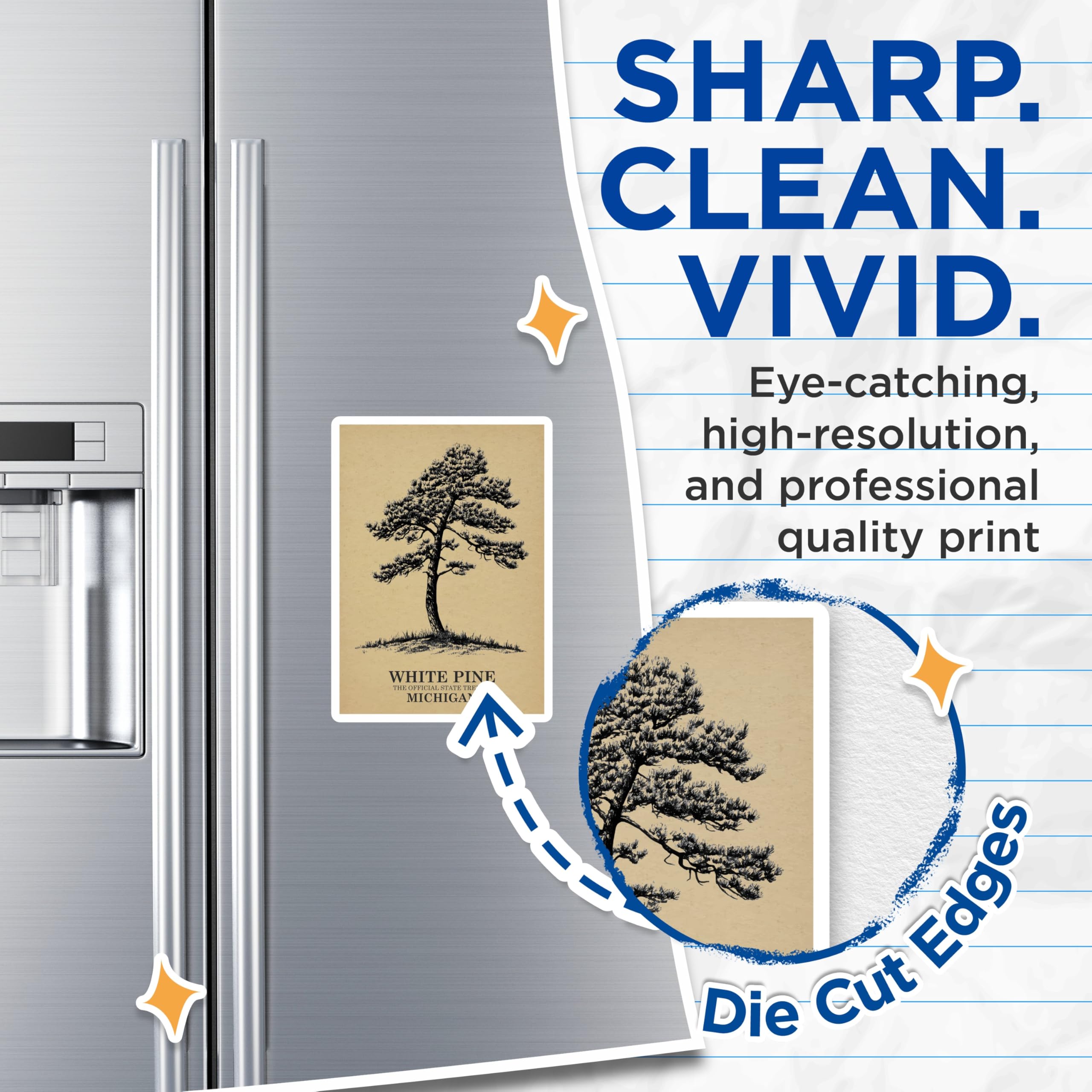 (2 Pack) White Pine Magnets - Michigan State Tree Art - Nature Lover Refrigerator Decor - 5" On Longest Side - Premium Magnet - for Cars, Refrigerators, Toolboxes, Lockers - Made in USA - MAG17579