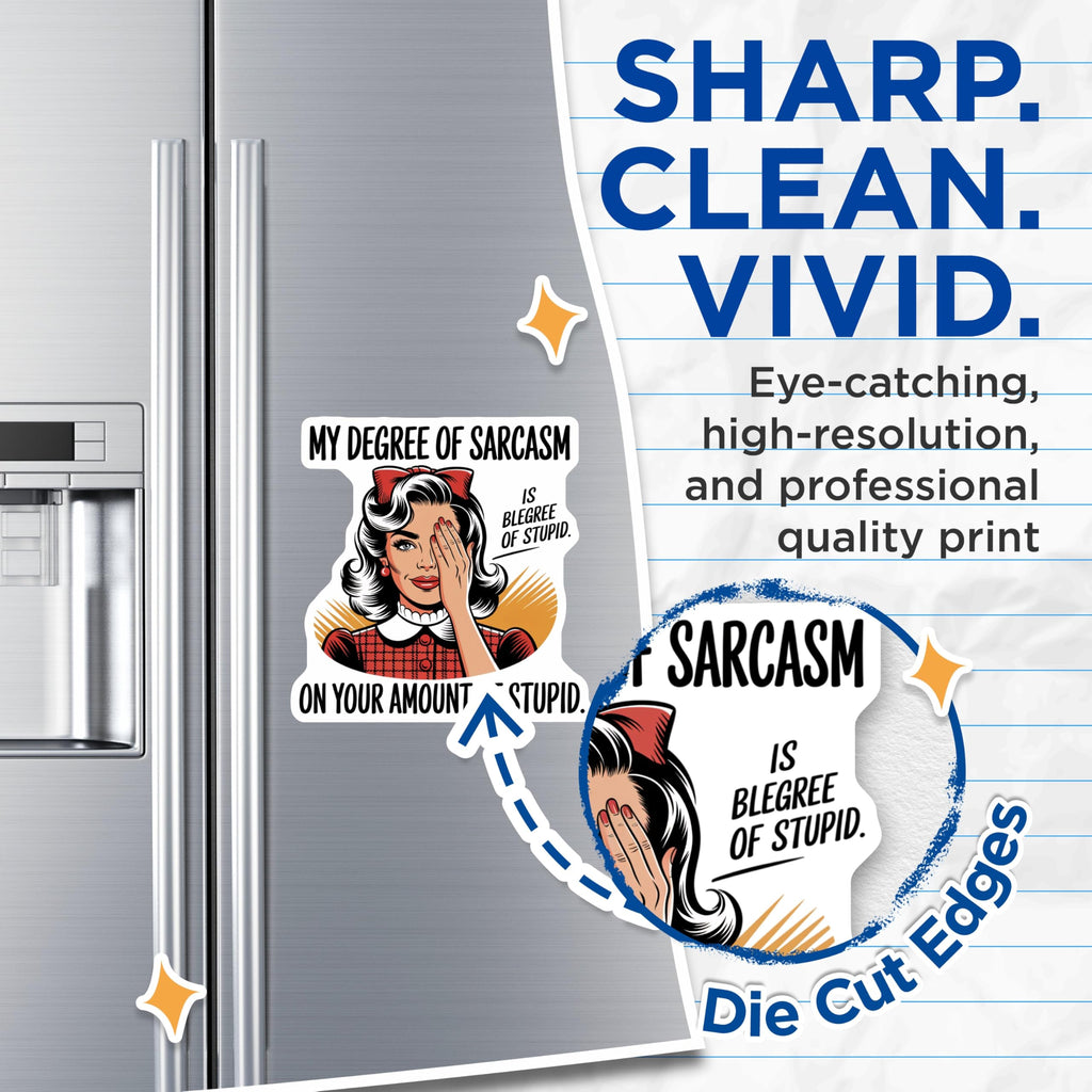 (2 Pack) Sarcastic Magnets - Pop Art Woman Facepalm Quote - Funny Fridge Refrigerator Office Locker Decor - 5 Inches On Longest Side - Thick Durable Magnet - Made in USA - MAG21332