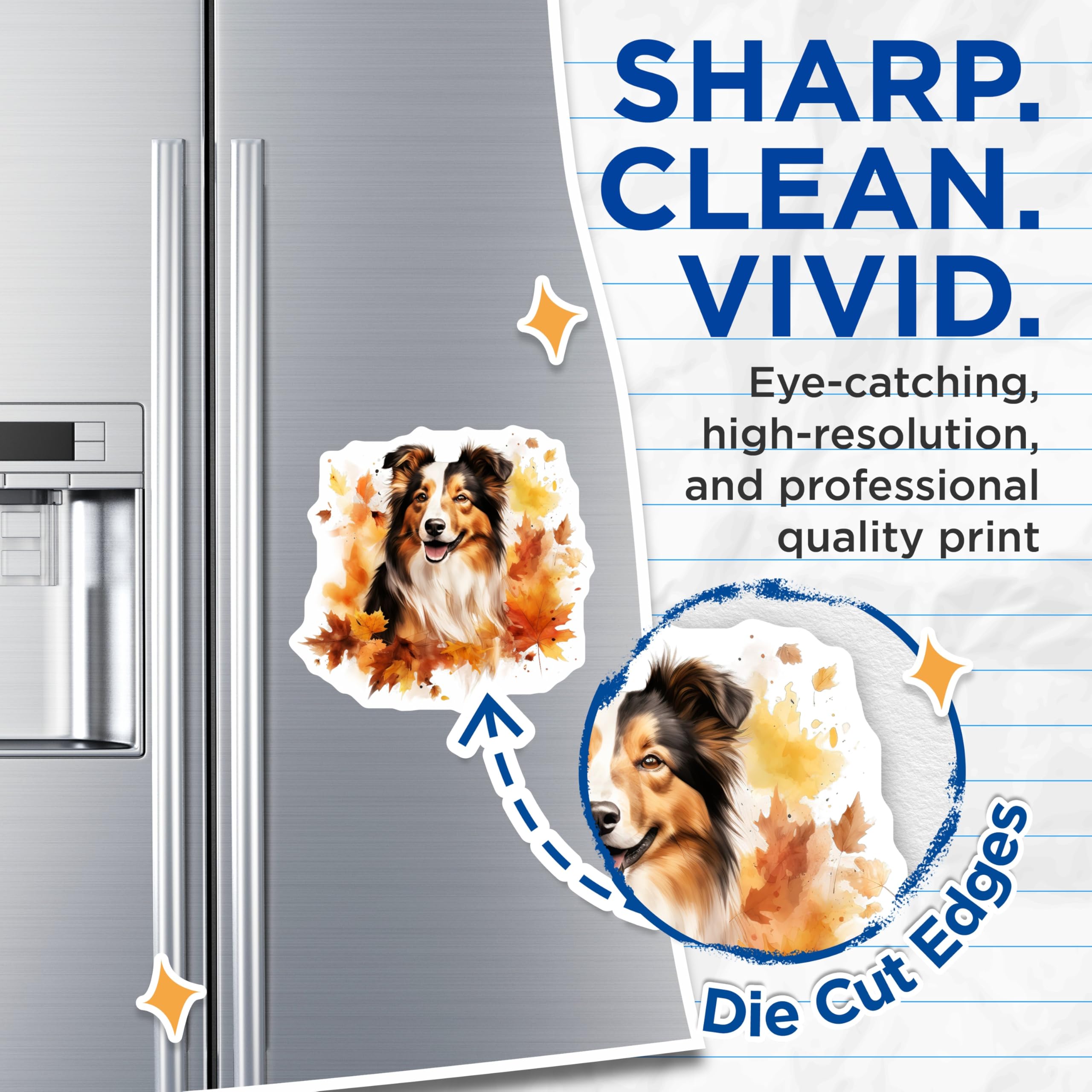 (2 Pack) Shetland Sheepdog Magnets - Watercolor Fall Decor - Pet Parent Kitchen Art - 5 Inches On Longest Side - Thick Durable Magnet - Made in USA - MAG29478