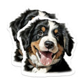 (2 Pack) Bernese Mountain Dog Magnets - Cute Puppy Fridge Decor - Dog Owner Animal Art - 5 Inches On Longest Side - Thick Durable Magnet - Made in USA - MAG26068