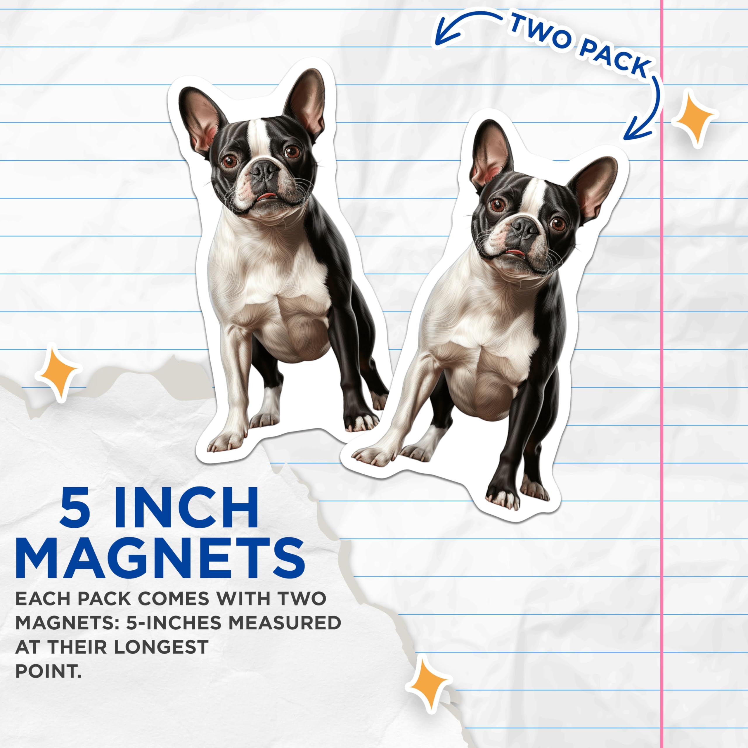 (2 Pack) Boston Terrier Dog Magnets - Cute Pet Owner Decor - Animal Lover Collectible - 5 Inches On Longest Side - Thick Durable Magnet - Made in USA - MAG25195