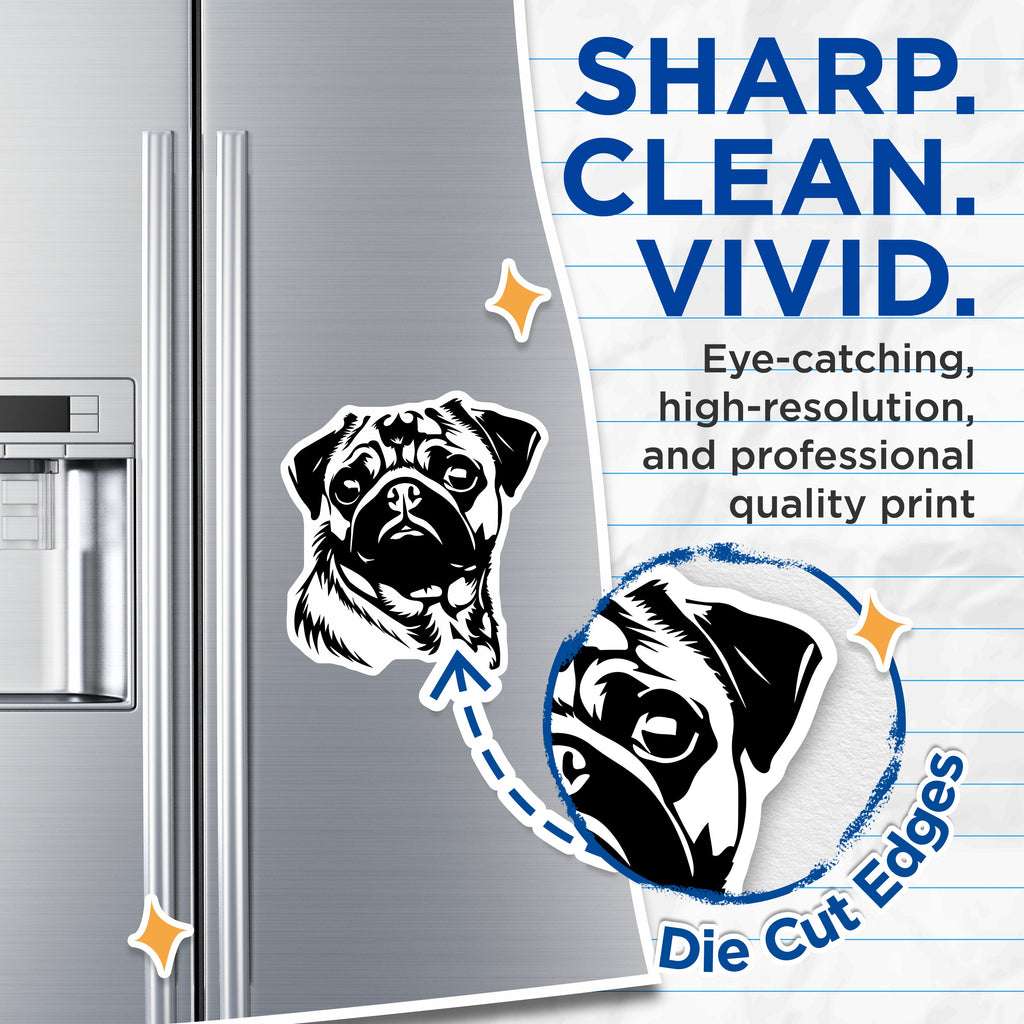 (2 Pack) Pug Dog Magnets - Cute Pet Puppy Animal Lover Fridge Decor - Dog Mom Dad Owner Kitchen Refrigerator Art - 5 Inches On Longest Side - Thick Durable Magnet - Made in USA - MAG37968