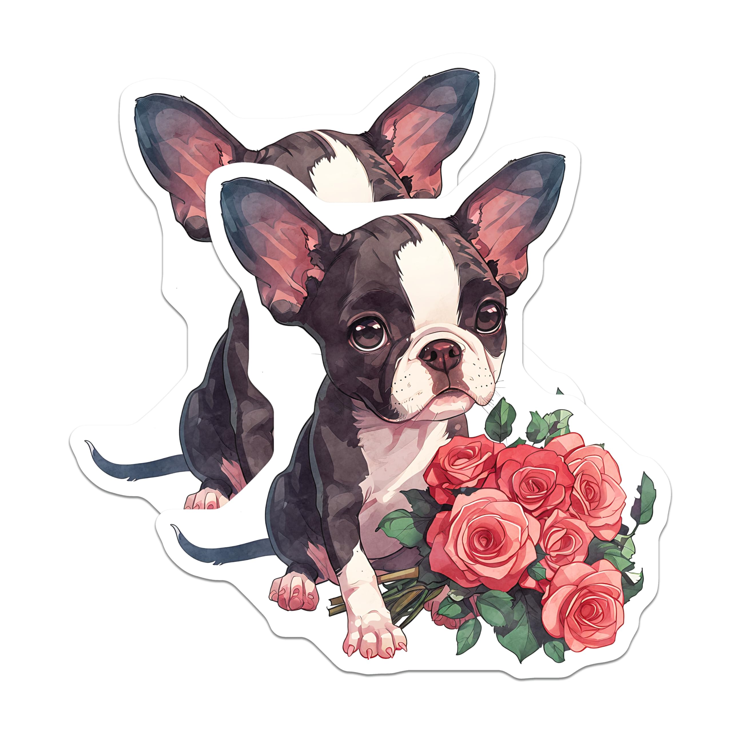 (2 Pack) Boston Terrier Magnets - Dog with Roses - Cute Animal Fridge Magnets - 5" On Longest Side - Premium Magnet - for Cars, Refrigerators, Toolboxes, Lockers - Made in USA - MAG16652
