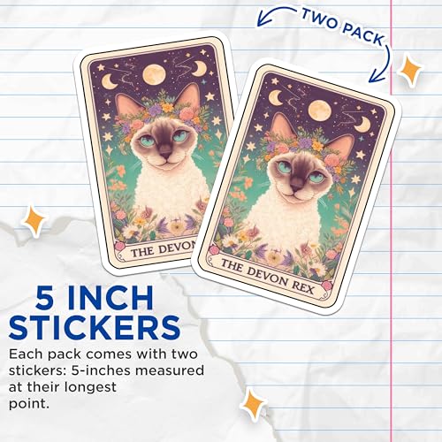 (2 Pack) Devon Rex Cat Stickers - Illustrated Cat Art Stickers - Floral Animal Sticker - 5" On Longest Side - Sticks to Smooth Flat Surfaces - Made in USA - BMCS4829