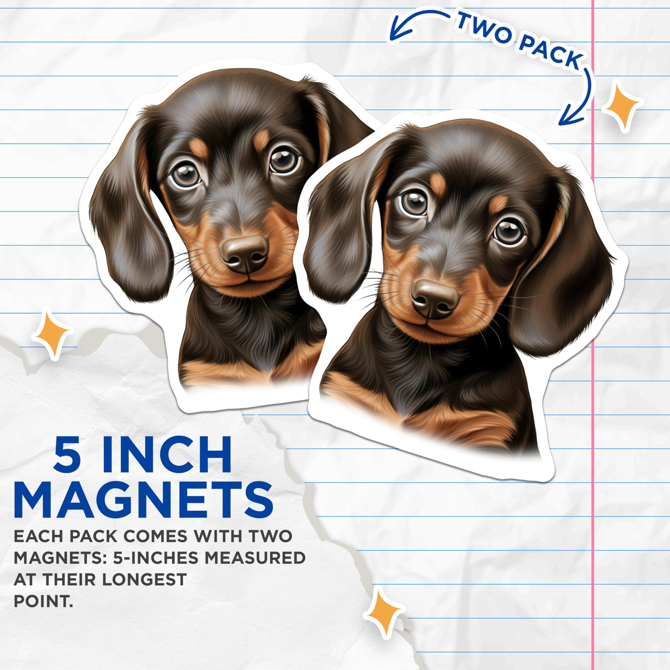 (2 Pack) Dachshund Puppy Magnets - Dog Lover Decor - Pet Owner Kitchen Accessories - Weiner Dog Fridge Art - 5 Inches On Longest Side - Thick Durable Magnet - Made in USA - MAG27575