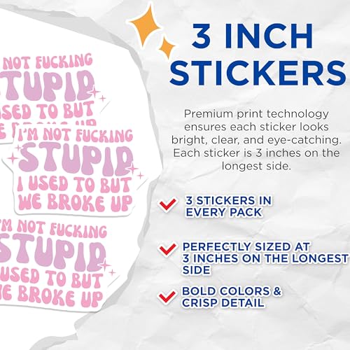 (3 Pack) Funny Sarcastic Decals - I'm Not Stupid - Trendy Laptop Sticker - 3 Inches On Longest Side - Easy Peel & Apply - Made in USA - 3MCS7249