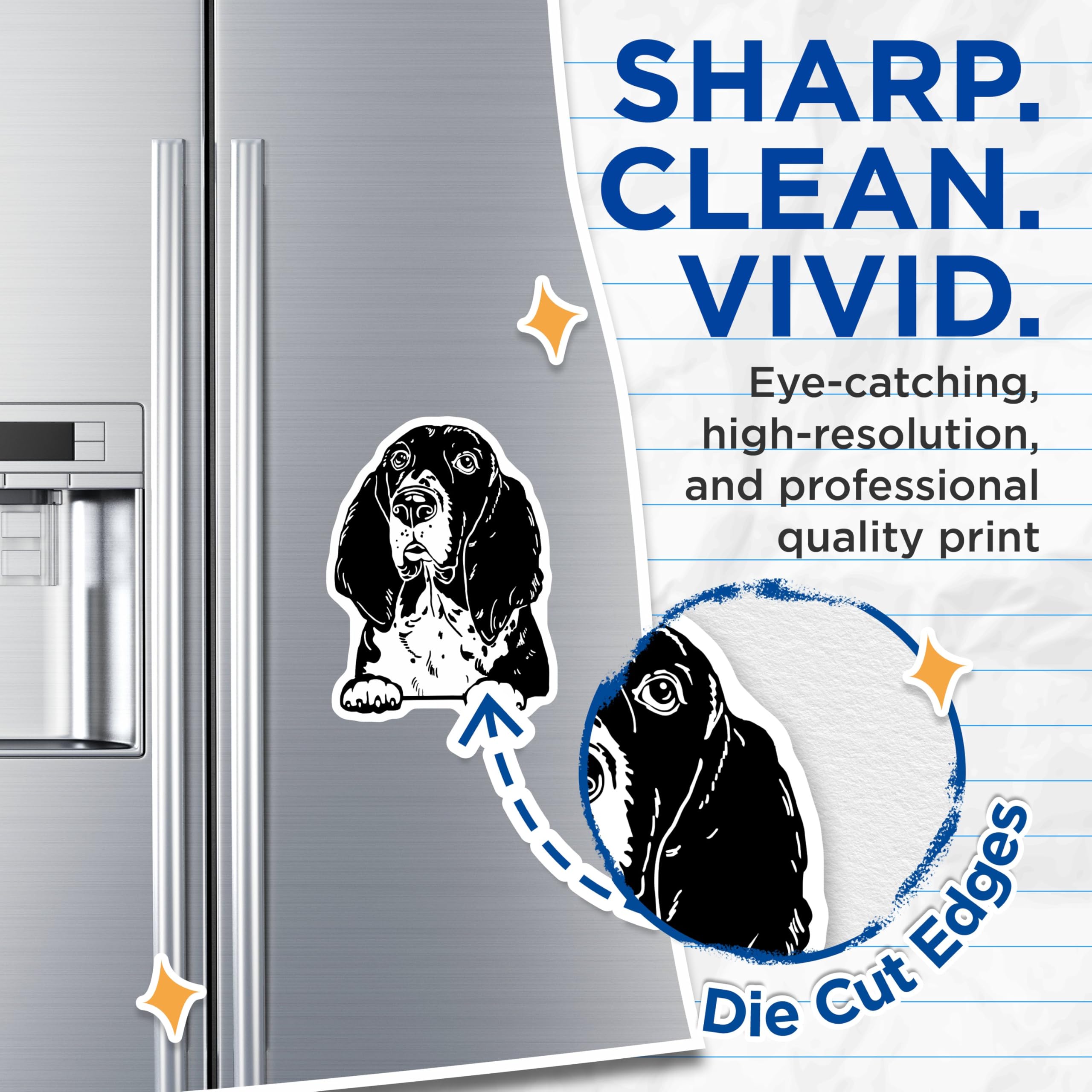 (2 Pack) Bas Hound Dog Magnets - Pet Lover - Animal Fridge Magnet - Dog Enthusiast Magnets - Cute Dog Themed Accessories - 5" On Longest Side - for Cars, Fridges, Toolboxes - Made in USA - MAG4038
