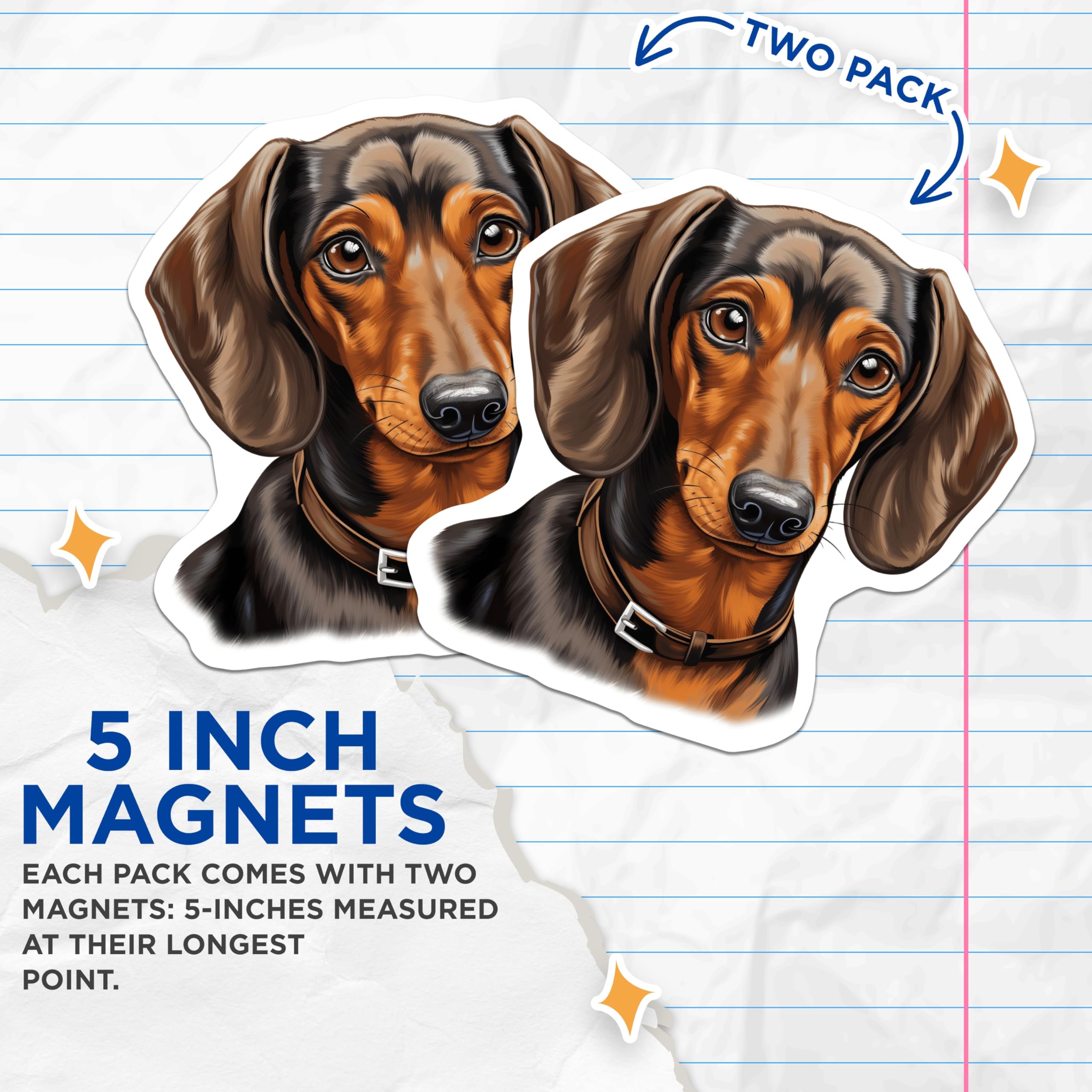 (2 Pack) Dachshund Dog Magnets - Wiener Dog Decor - Sausage Dog Lover Accessory - Pet Parent Present - 5 Inches On Longest Side - Thick Durable Magnet - Made in USA - MAG29975