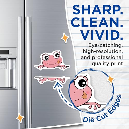 (2 Pack) Cute Frog Magnets - Fun Animal Decor - Kids Room - Refrigerator Magnets - 5" On Longest Side - for Cars, Fridges, Toolboxes - Made in USA - MAG6657