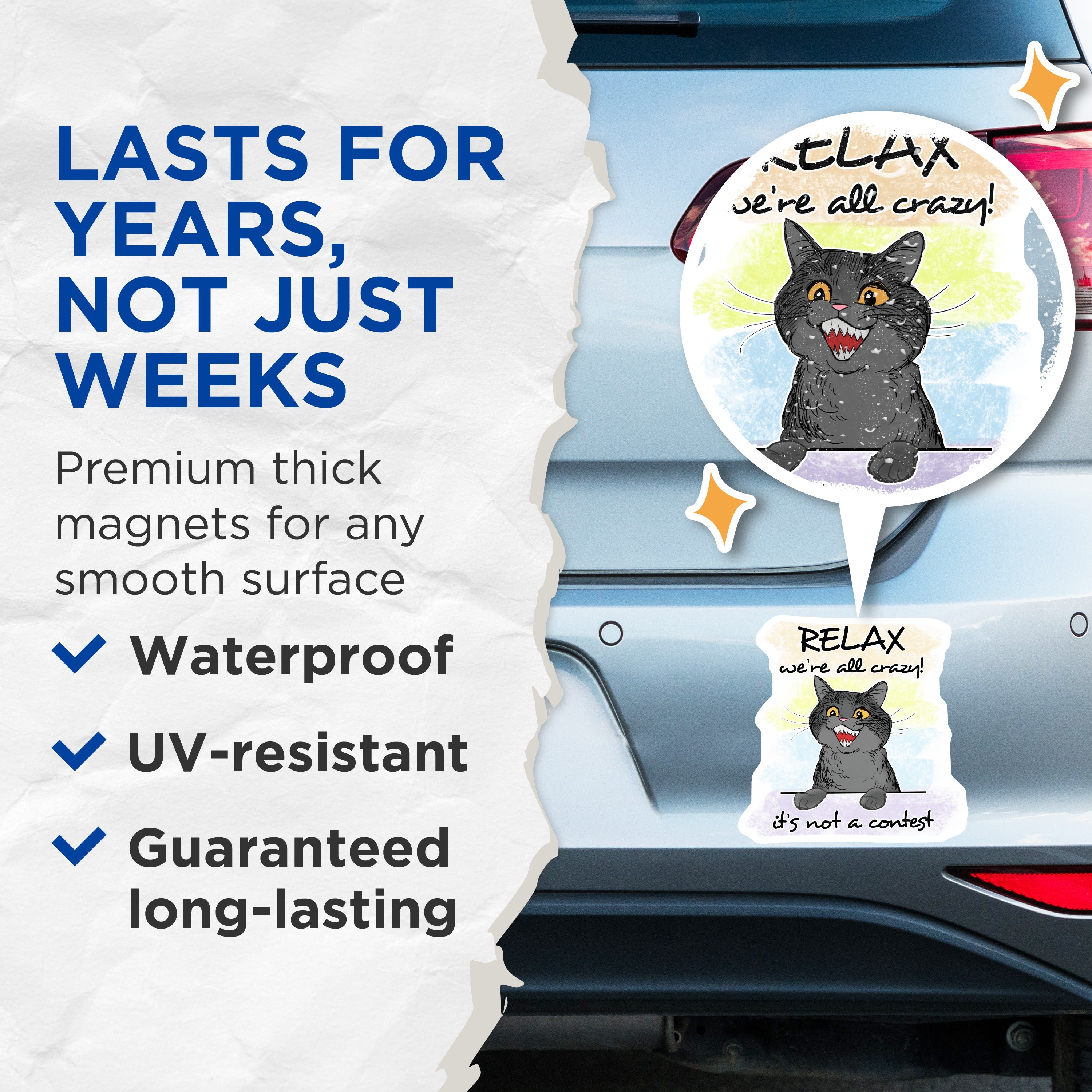 (2 Pack) Funny Cat Magnets - Crazy Cat Lady Decor - Refrigerator Office Locker Magnets - Relatable Humor Quirky Cat Art - 5 Inches On Longest Side - Thick Durable Magnet - Made in USA - MAG38498