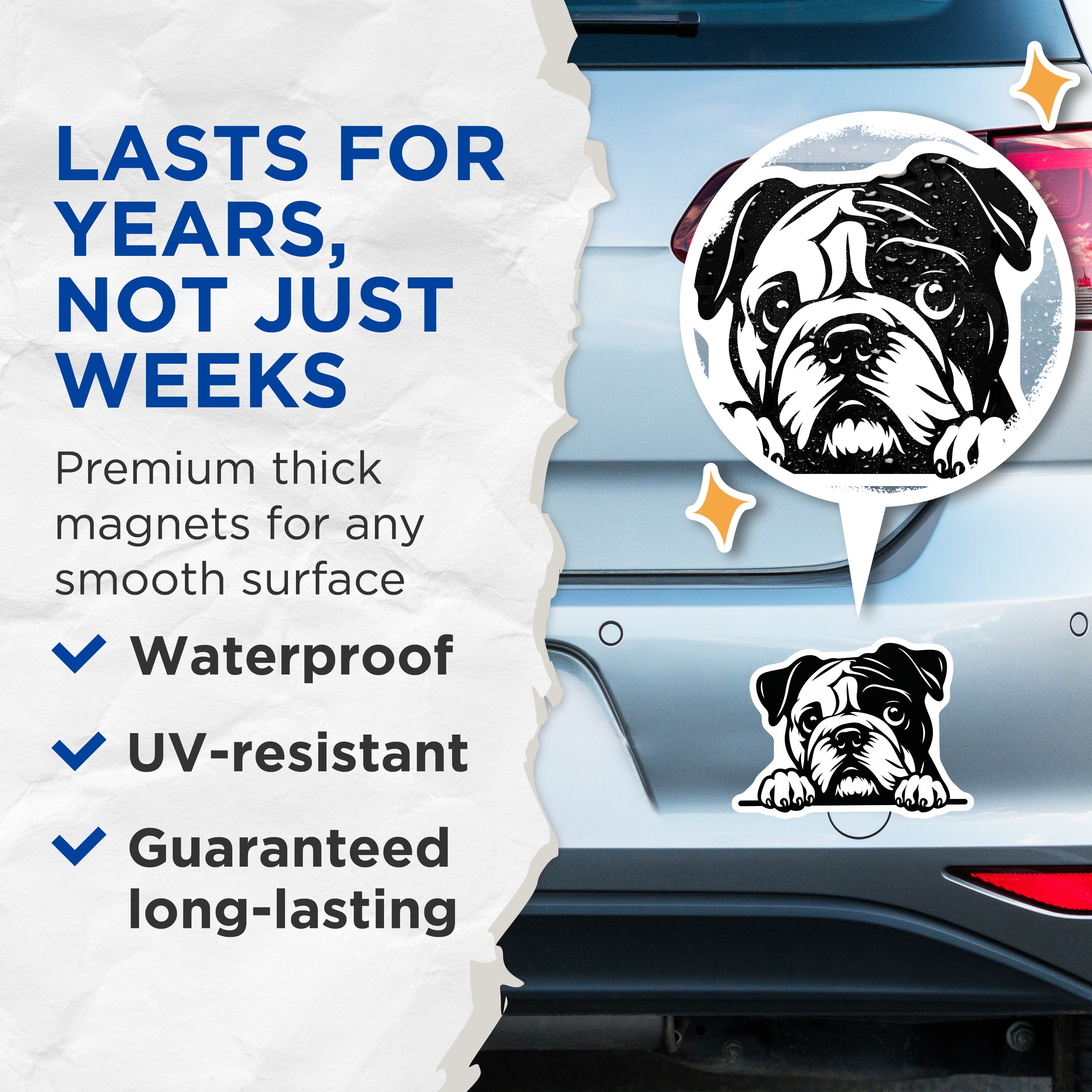 (2 Pack) Bulldog Magnets - Dog Lover Refrigerator Decor - English Bulldog Art - Pet Owner Accessory - 5 Inches On Longest Side - Thick Durable Magnet - Made in USA - MAG38623