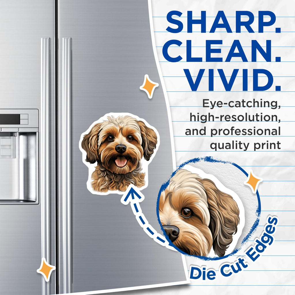 (2 Pack) Cavapoo Dog Magnets - Cute Pet Lover Decor - Doodle Dog Parent Refrigerator - 5 Inches On Longest Side - Thick Durable Magnet - Made in USA - MAG27402