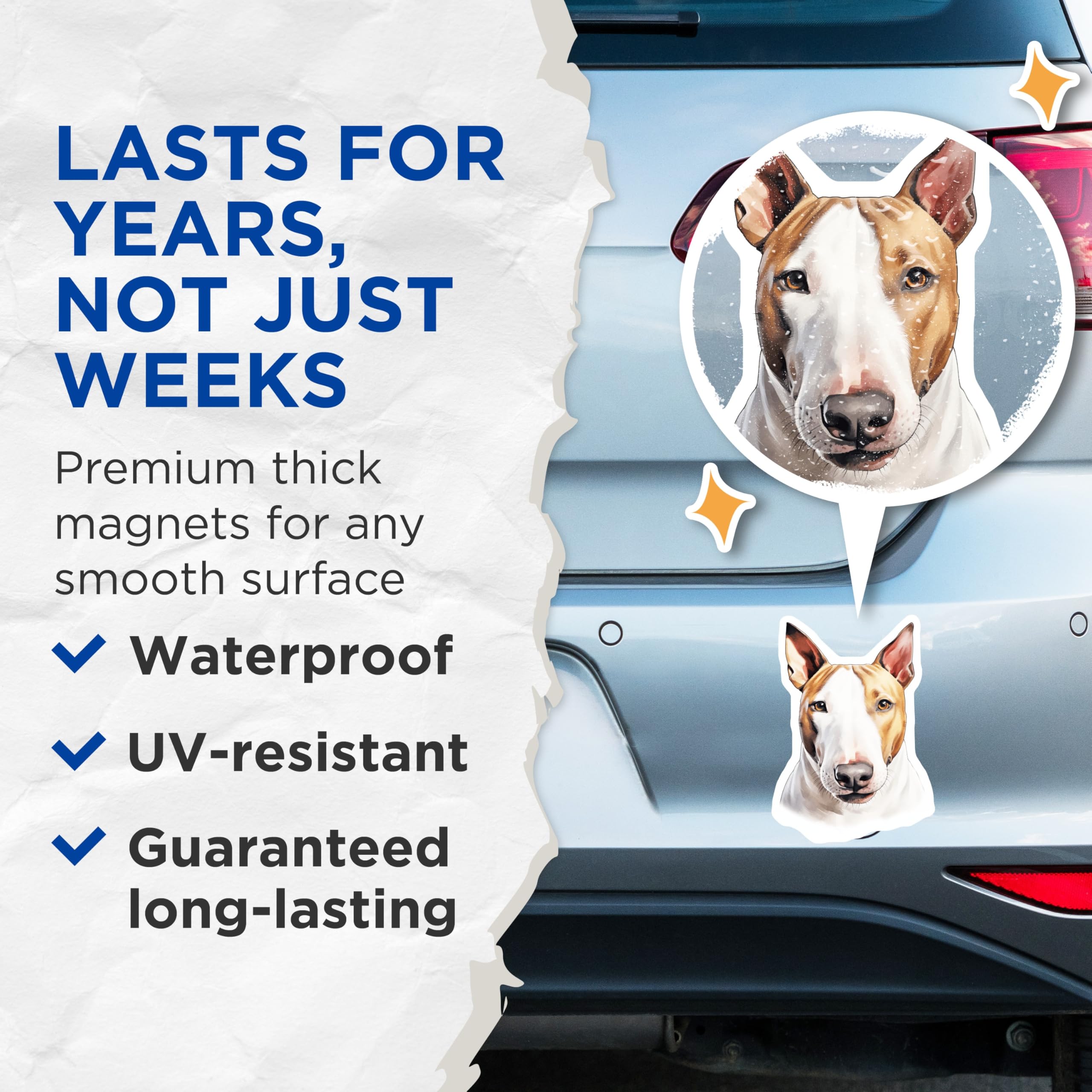 (2 Pack) Bull Terrier Dog Magnets - Loyal Companion Breed Art - Canine Pet Lover Refrigerator Home Office Locker Magnet Decor - 5 Inches On Longest Side - Thick Durable Magnet - Made in USA - MAG24881