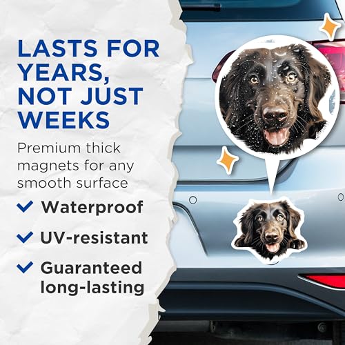 (2 Pack) Pet Lover Decor Magnet - 5" On Longest Side - Sticks to Smooth Flat Surfaces - Made in USA - MAG10168