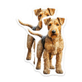(2 Pack) Airedale Terrier Magnets - Airedale Dog Art - Pet Lover Decor - Refrigerator Puppy Display - 5 Inches On Longest Side - Thick Durable Magnet - Made in USA - MAG26458