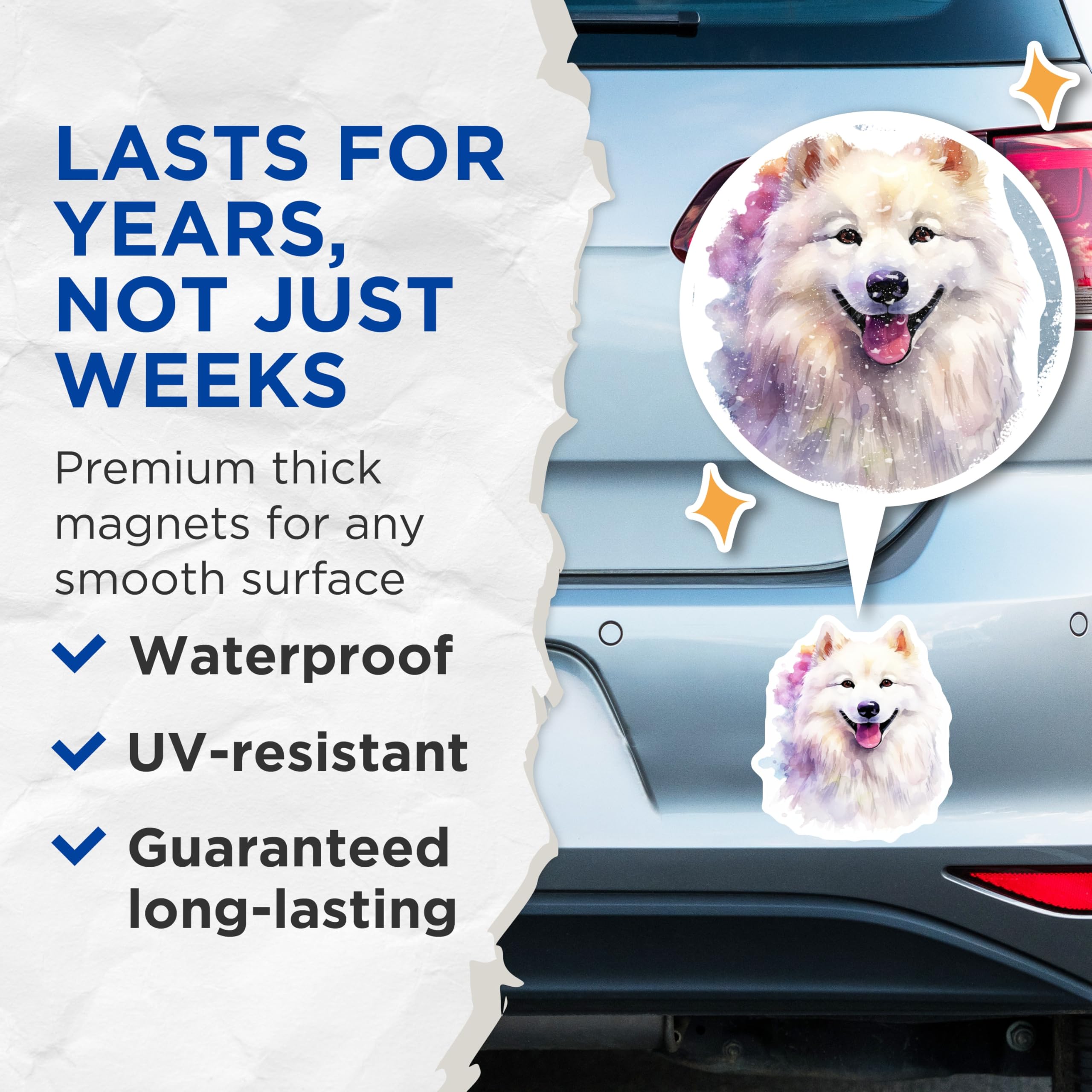 (2 Pack) Samoyed Dog Magnets - Watercolor Pet Art - Happy Dog Lover Decor - Fluffy White Dog Fridge - 5 Inches On Longest Side - Thick Durable Magnet - Made in USA - MAG29590