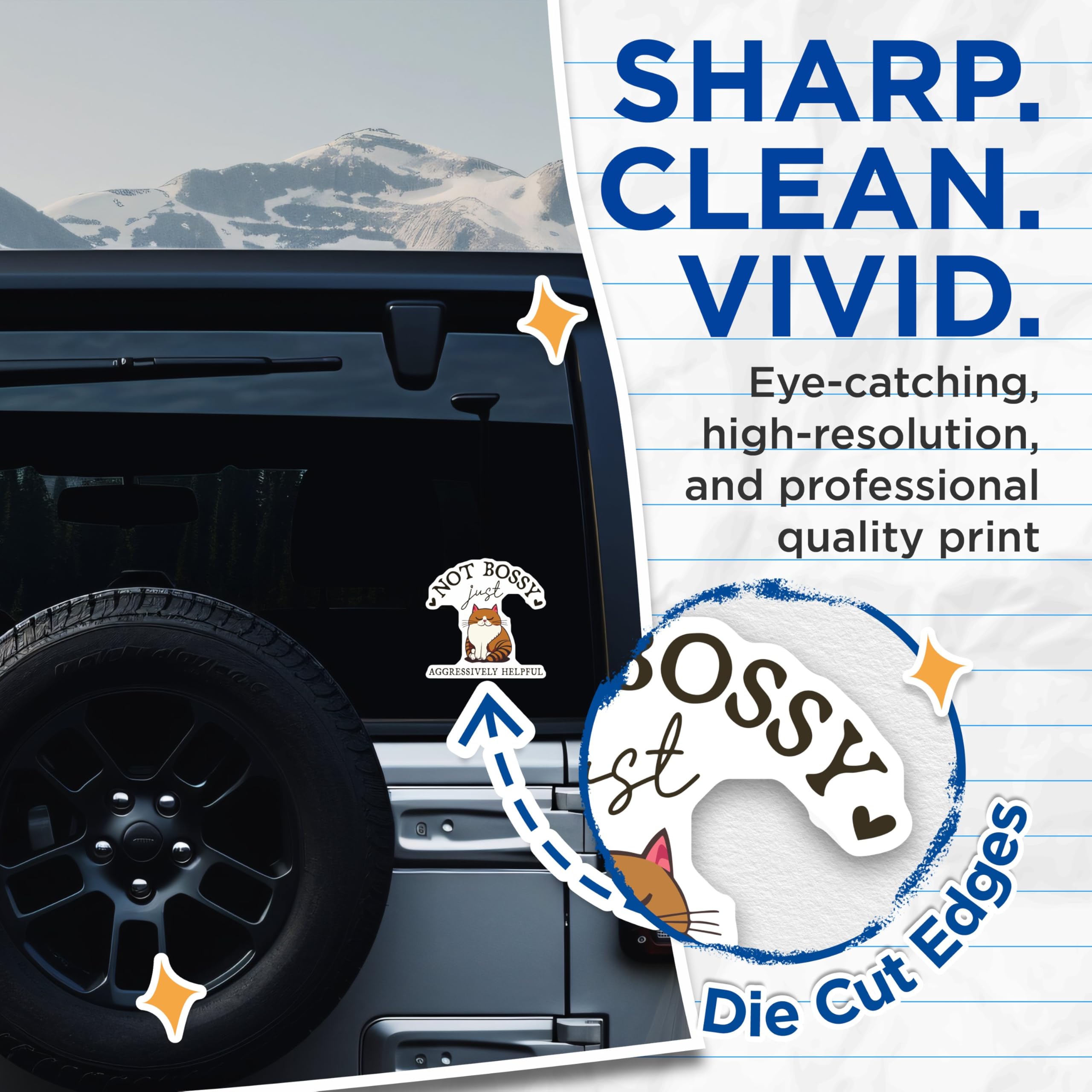 Bliss Monkey Co. (2 Pack) Not Bossy Just Aggressively Helpful Cat Stickers - Multicolor Vinyl Rectangular Cartoon Stickers - Ideal for Metal, Plastic, Glass - 5" Longest Side - Made in USA