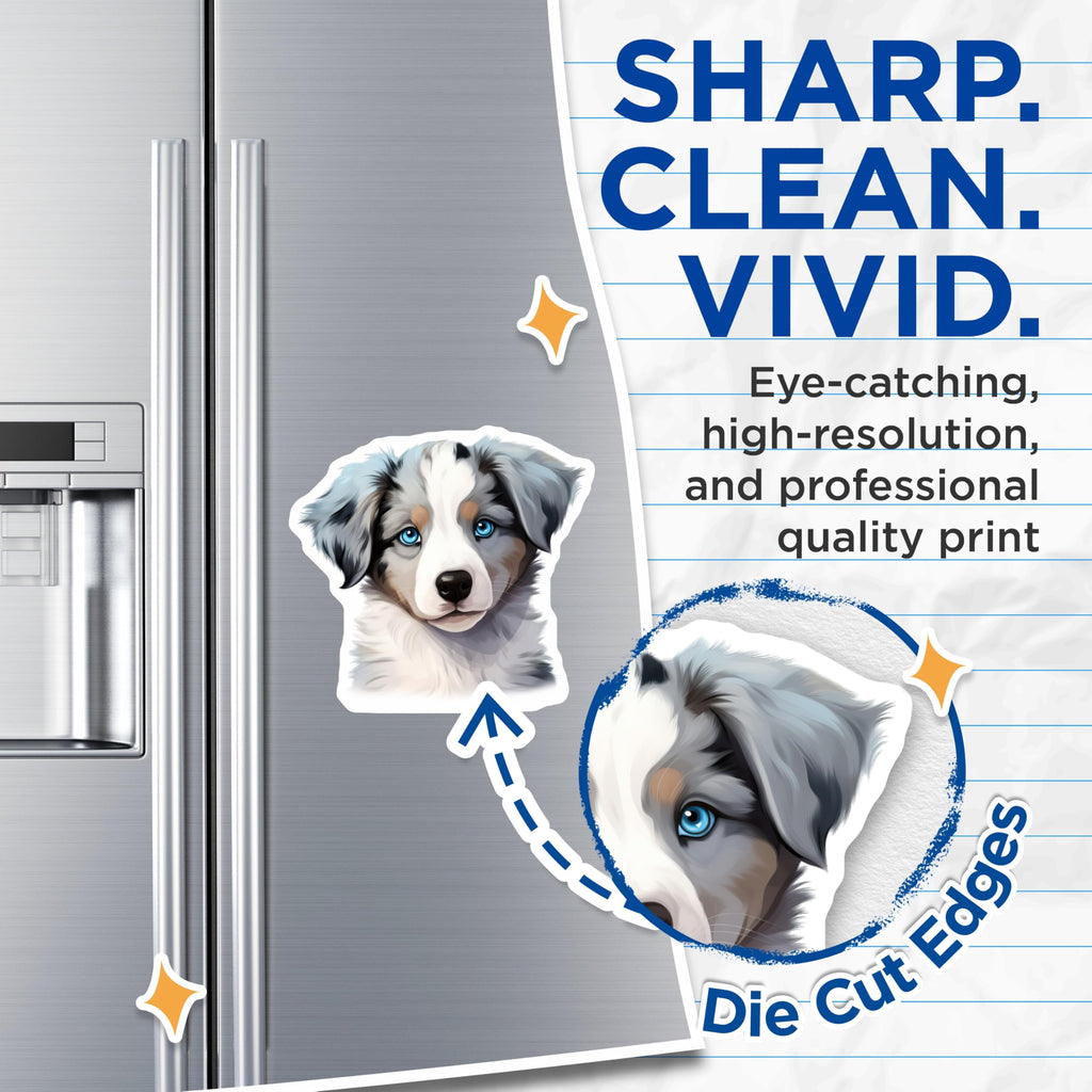 (2 Pack) Australian Shepherd Puppy Magnets - Blue Eyed Aussie Decor - Dog Lover Fridge Accent for Pet Parents - 5 Inches On Longest Side - Thick Durable Magnet - Made in USA - MAG27431