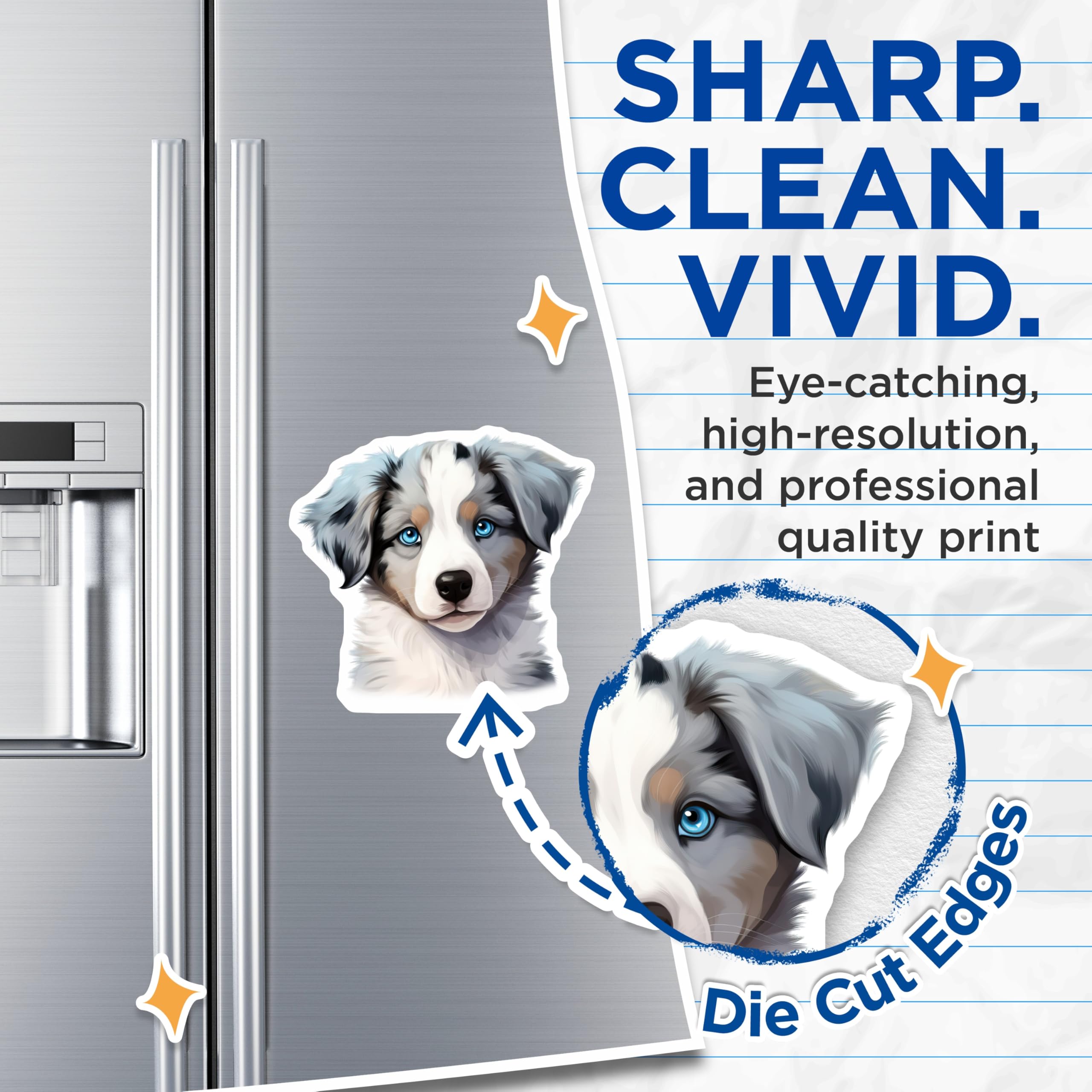 (2 Pack) Australian Shepherd Puppy Magnets - Blue Eyed Aussie Decor - Dog Lover Fridge Accent for Pet Parents - 5 Inches On Longest Side - Thick Durable Magnet - Made in USA - MAG27431