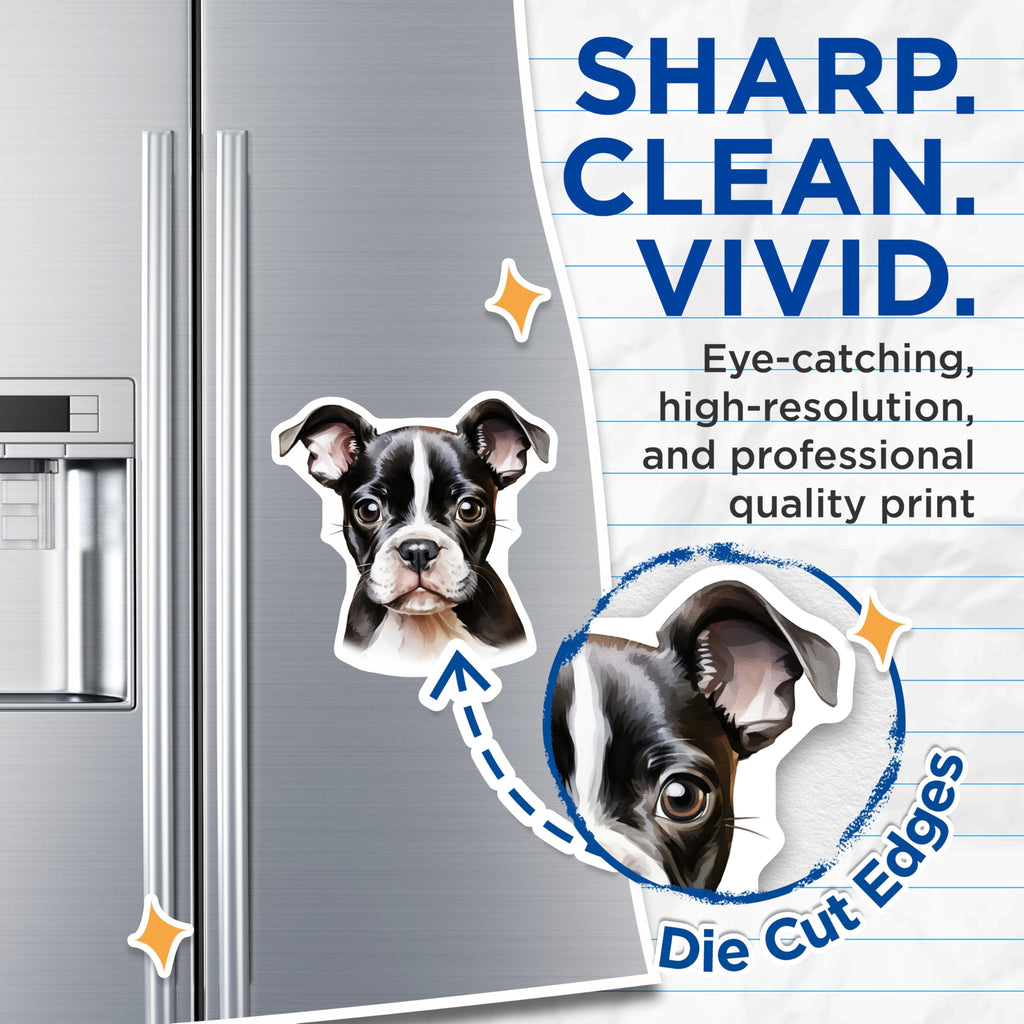 (2 Pack) Cute Boston Terrier Puppy Magnets - Dog Lover Fridge Decor - Pet Parent Animal Art Gift Set for Home - 5 Inches On Longest Side - Thick Durable Magnet - Made in USA - MAG25018