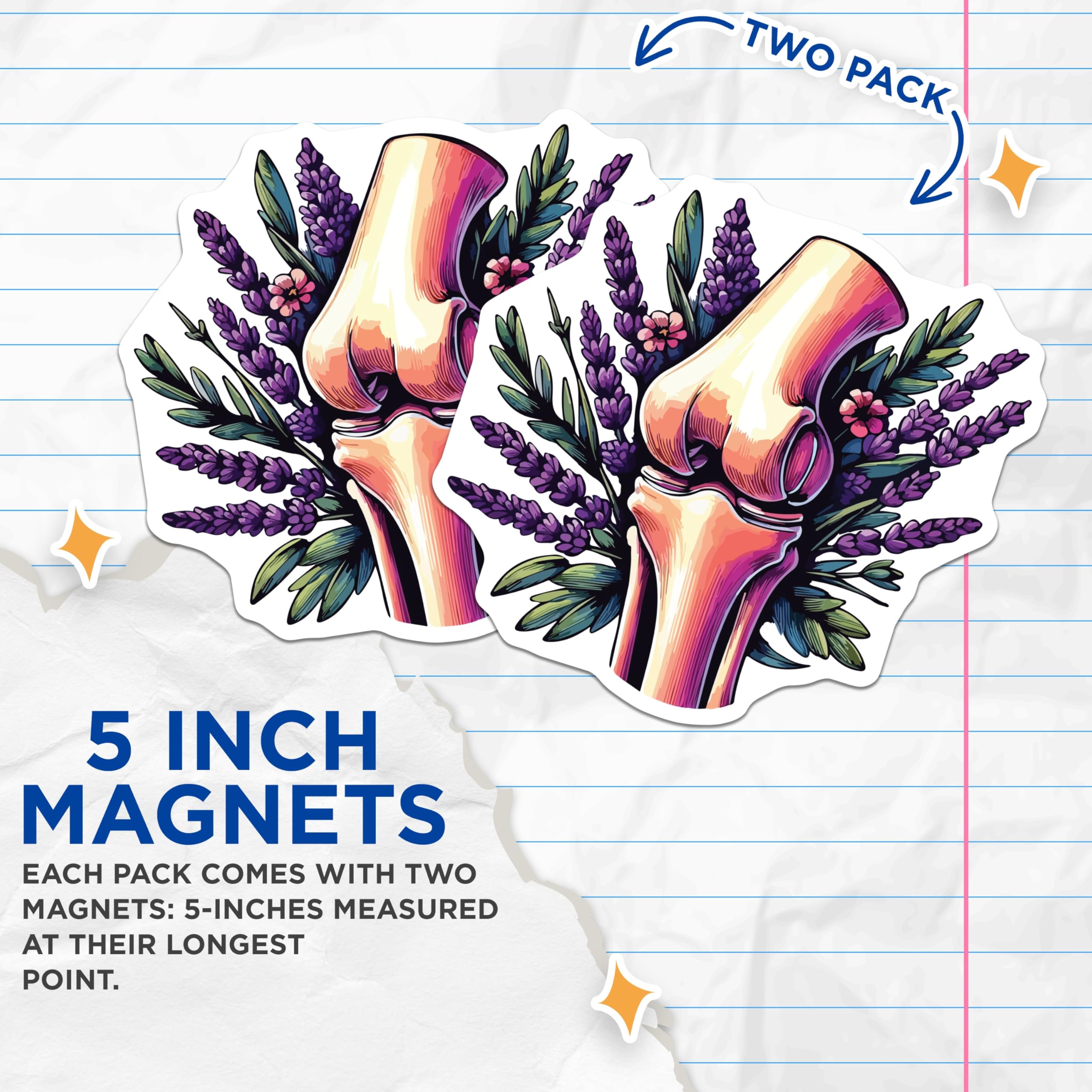 (2 Pack) Knee Joint Human Body Magnets - Botanical Lavender Anatomy - Orthopedic Science Health Decor - 5 Inches On Longest Side - Thick Durable Magnet - Made in USA - MAG19722