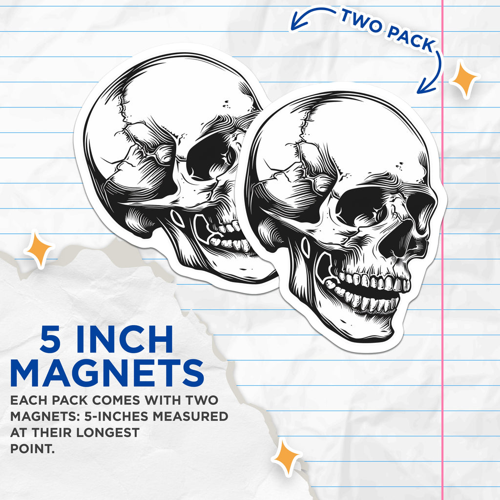 (2 Pack) Skull Magnets - Gothic Decor - Edgy Tattoo Art - Halloween Fridge Magnets - Alternative Home Decor - Macabre Anatomy Skull - 5" - Durable Magnet - Made in USA - MAG37075