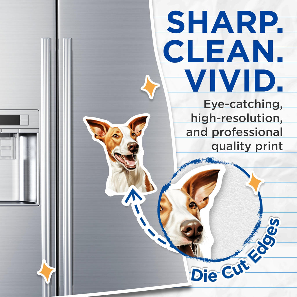 (2 Pack) Ibizan Hound Magnets - Happy Podenco Dog Art - Pet Lover Refrigerator Decor - 5 Inches On Longest Side - Thick Durable Magnet - Made in USA - MAG23989