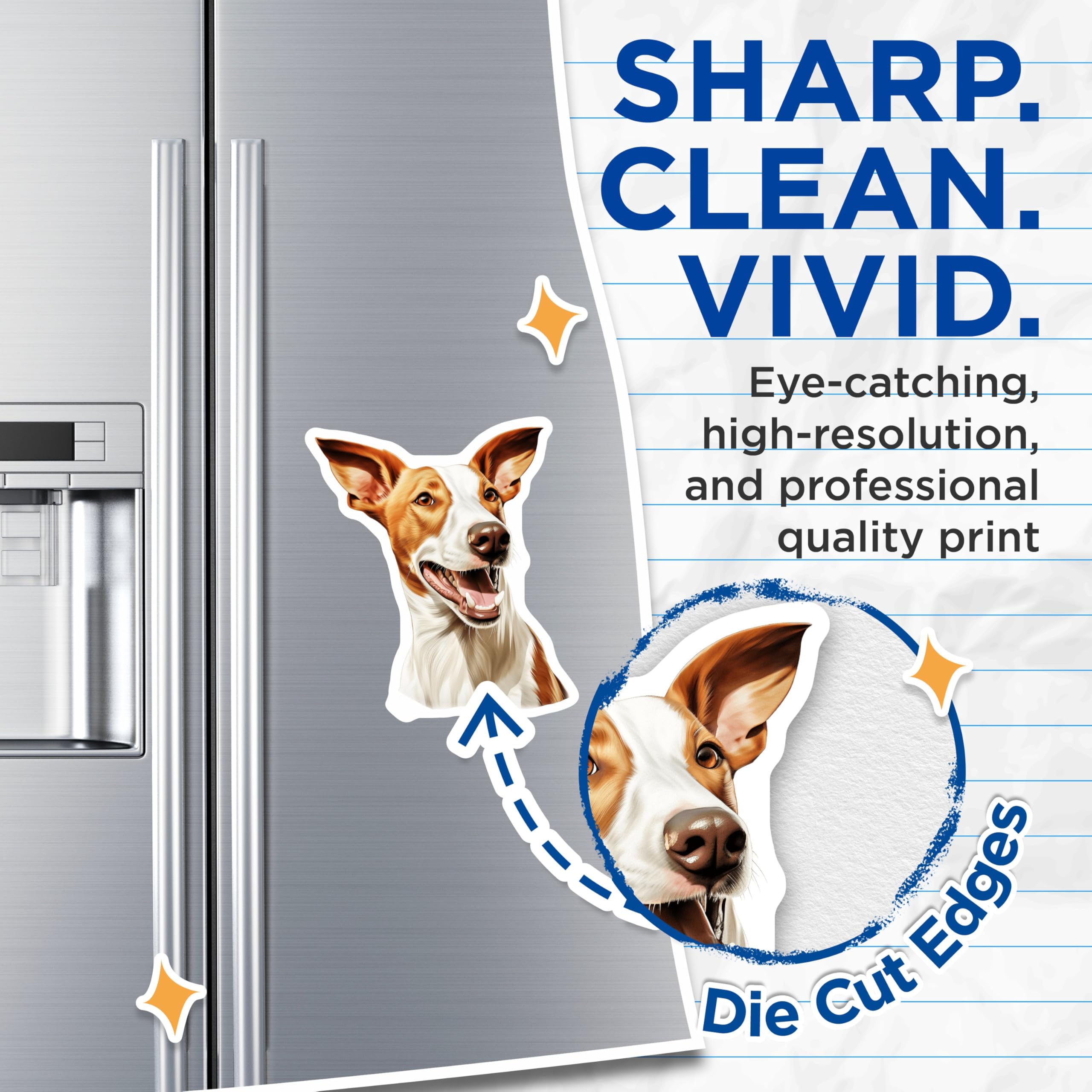 (2 Pack) Ibizan Hound Magnets - Happy Podenco Dog Art - Pet Lover Refrigerator Decor - 5 Inches On Longest Side - Thick Durable Magnet - Made in USA - MAG23989