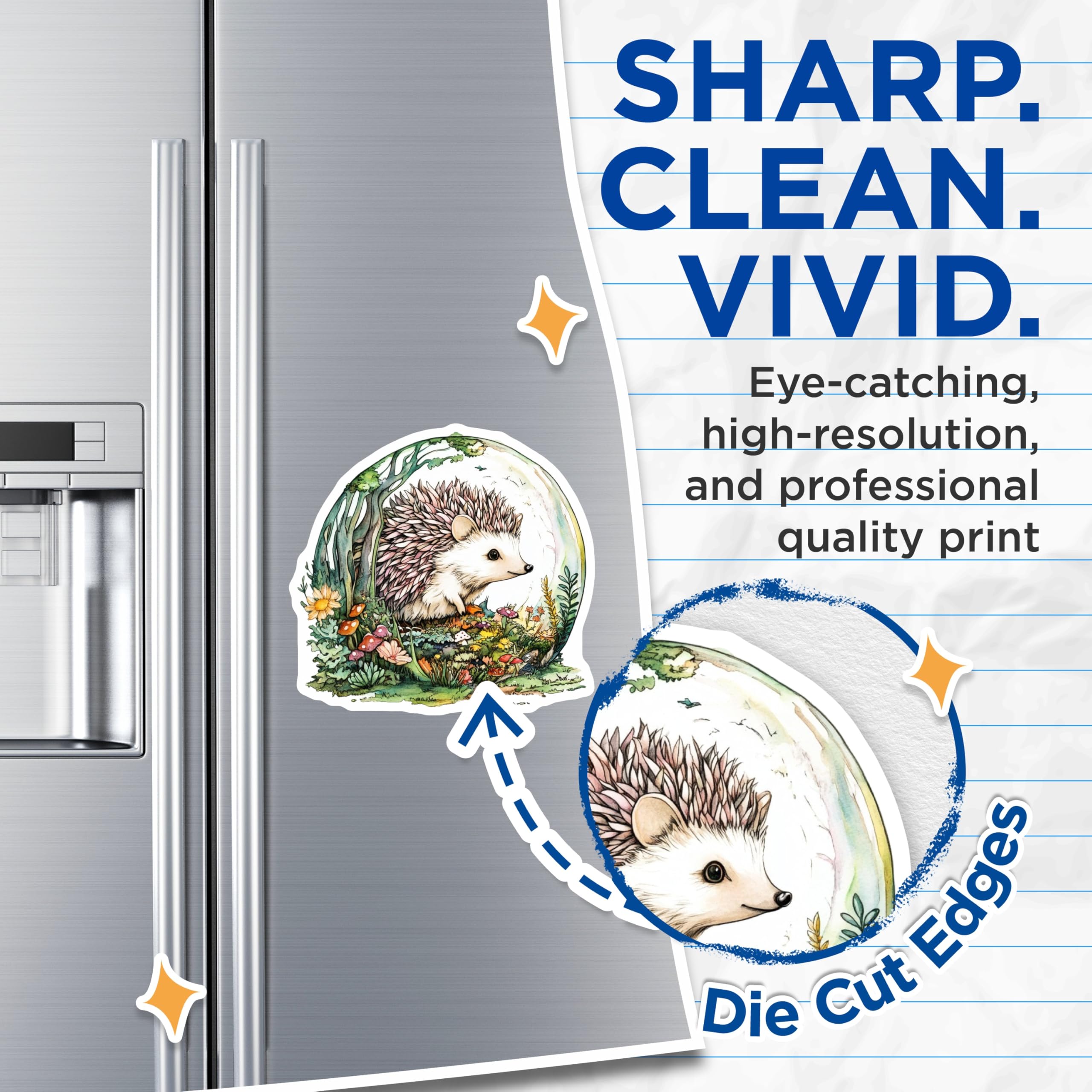 (2 Pack) Hedgehog Magnets - Cute Animal Magnets - Forest Theme Refrigerator Magnets - 5" On Longest Side - Premium Magnet - for Cars, Refrigerators, Toolboxes, Lockers - Made in USA - MAG16142