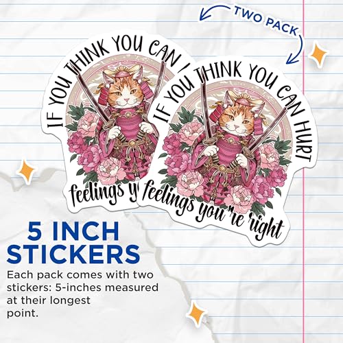 (2 Pack) Samurai Cat Stickers - Inspirational Quote Stickers - Unique Art Stickers - 5" On Longest Side - Sticks to Smooth Flat Surfaces - Made in USA - BMCS4358