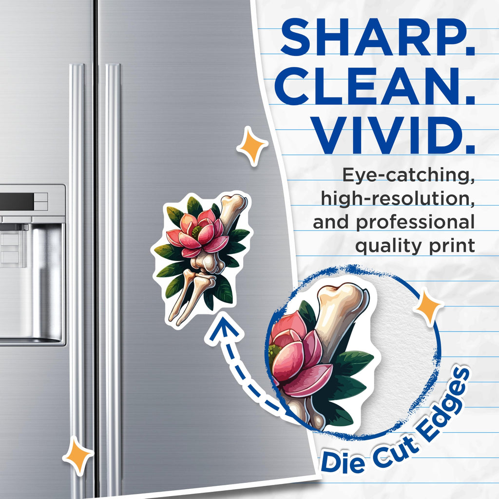(2 Pack) Bone Flower Magnets - Magnolia Skeleton Art - Gothic Floral Decor for Fridge Locker Office - 5 Inches On Longest Side - Thick Durable Magnet - Made in USA - MAG19954