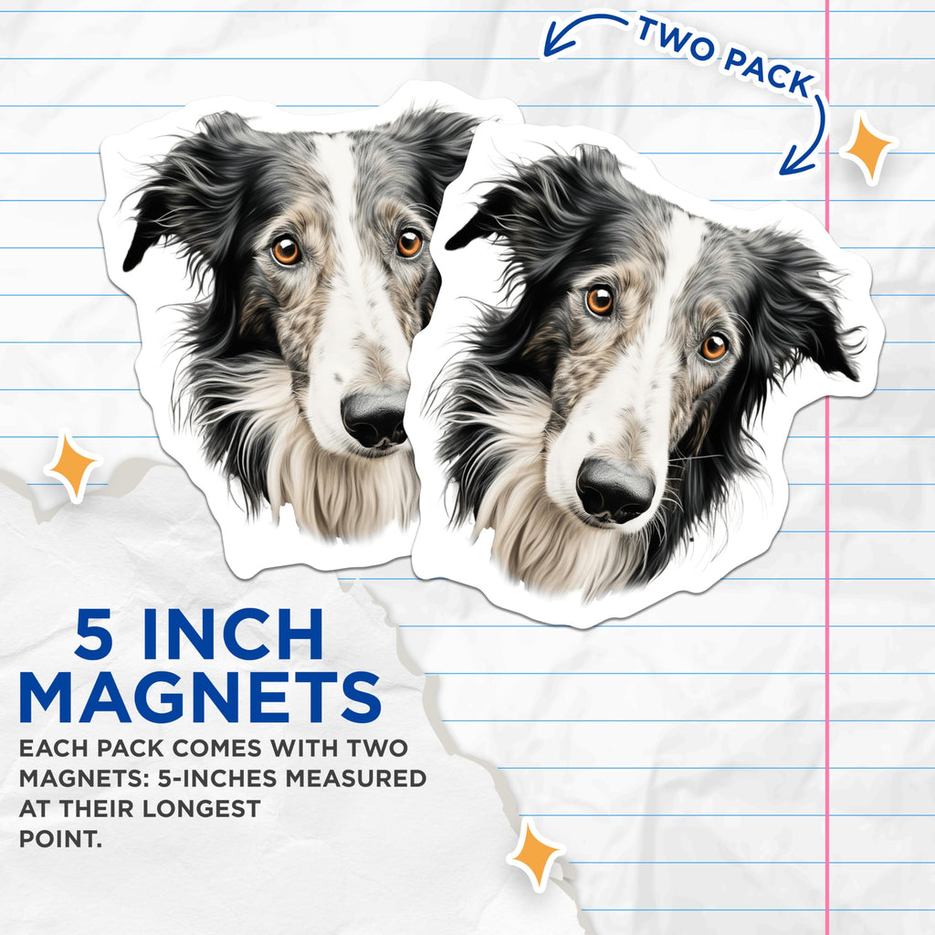 (2 Pack) Border Collie Magnets - Dog Breed Lover Pet Decor - Animal Portrait Refrigerator Magnet - 5 Inches On Longest Side - Thick Durable Magnet - Made in USA - MAG30666