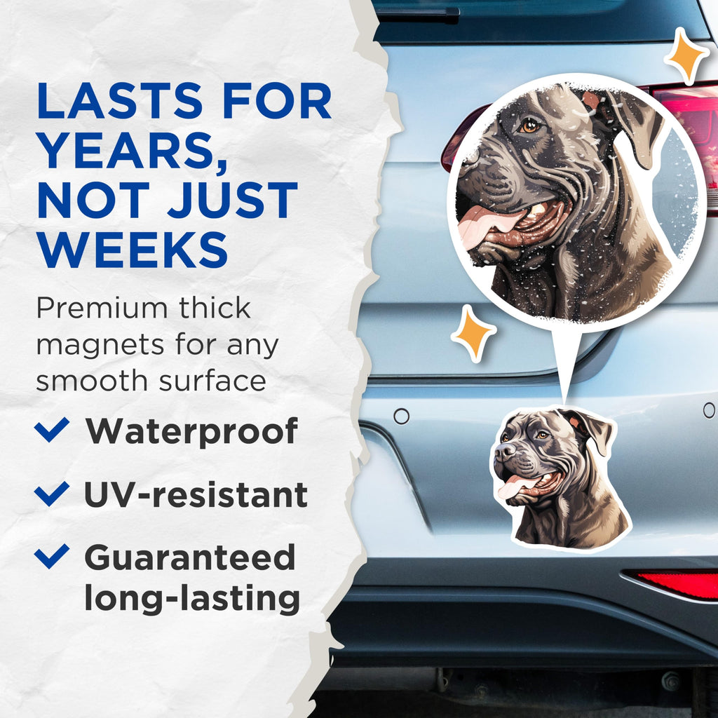 (2 Pack) Cane Corso Magnets - Dog Breed Illustration - Pet Lover Refrigerator Decor - Unique Animal Art - 5 Inches On Longest Side - Thick Durable Magnet - Made in USA - MAG23276