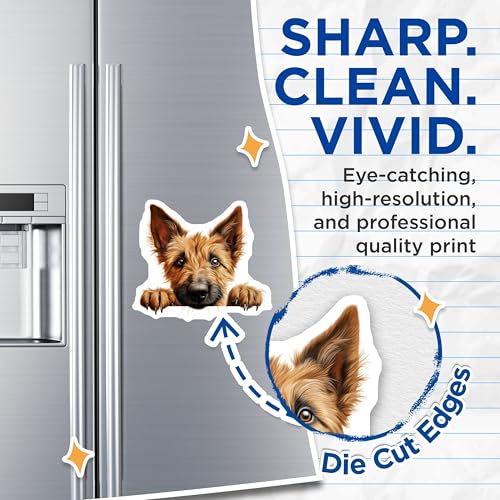 (2 Pack) Cute Pet Fridge Decor Magnet - 5" On Longest Side - Sticks to Smooth Flat Surfaces - Made in USA - MAG9865