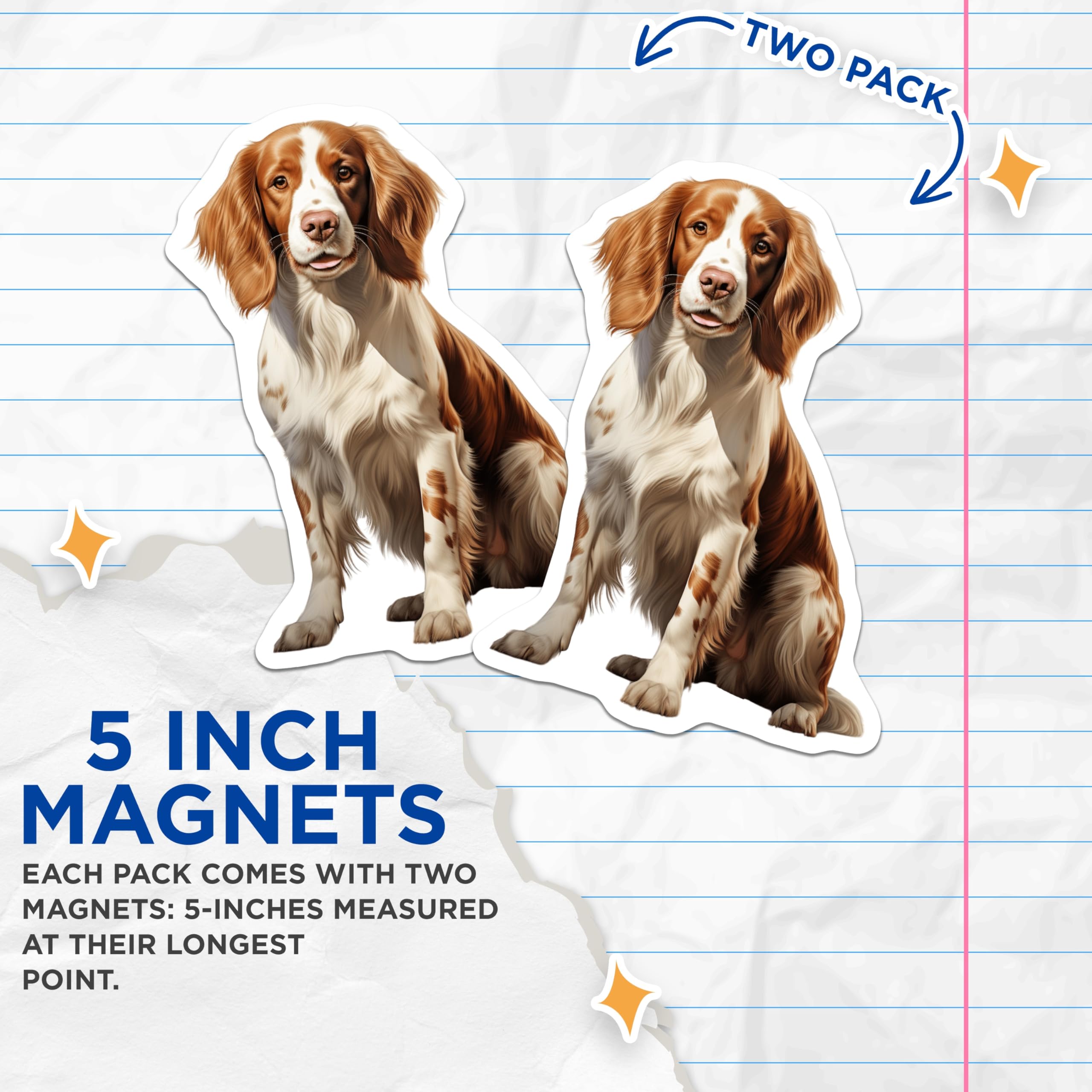 (2 Pack) Springer Spaniel Magnets - Dog Lover Decor - Pet Breed Artwork for Fridge - 5 Inches On Longest Side - Thick Durable Magnet - Made in USA - MAG27306