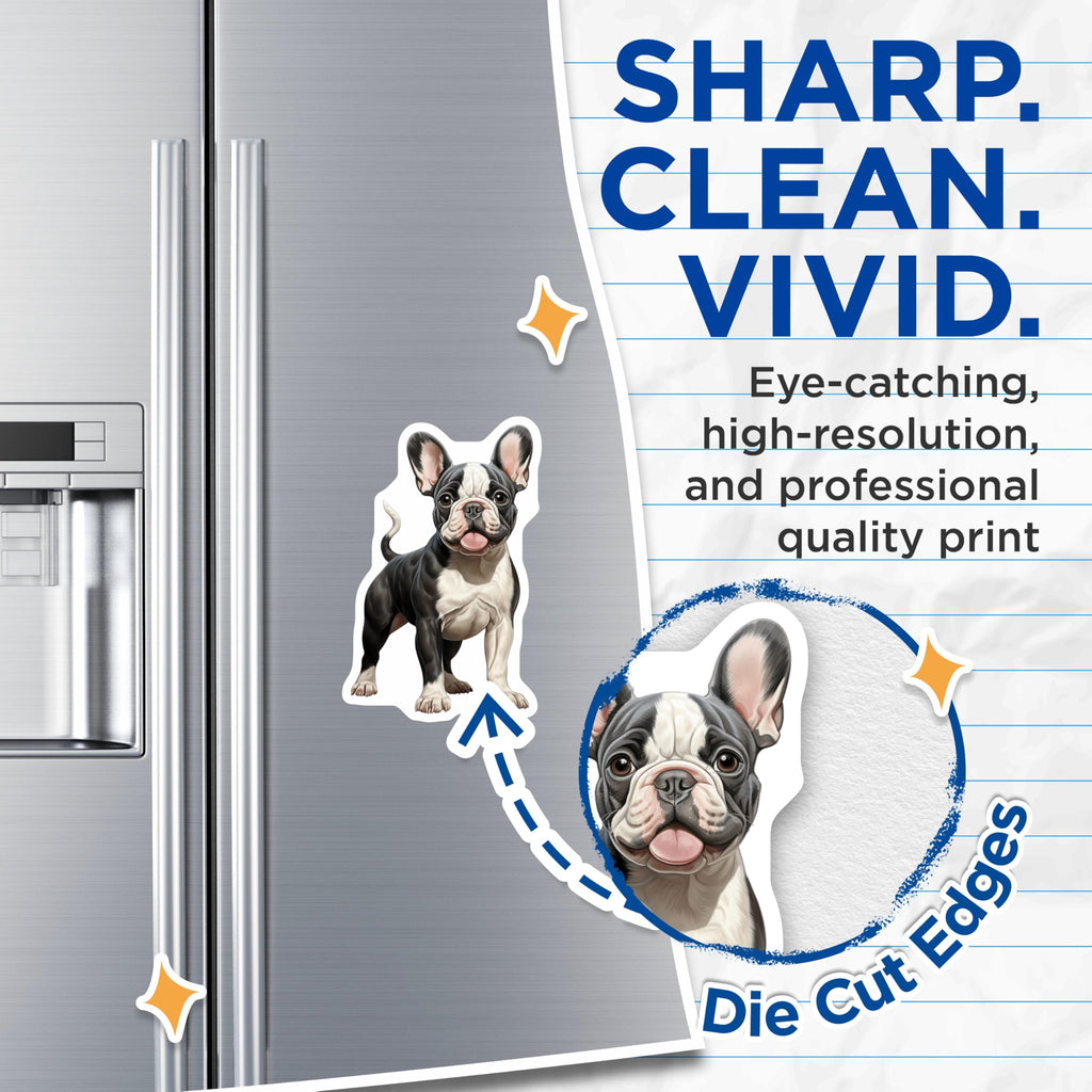 (2 Pack) French Bulldog Magnets - Cute Frenchie Puppy - Dog Lover Accessory - Refrigerator Decor for Pet Owners - 5 Inches On Longest Side - Thick Durable Magnet - Made in USA - MAG28462